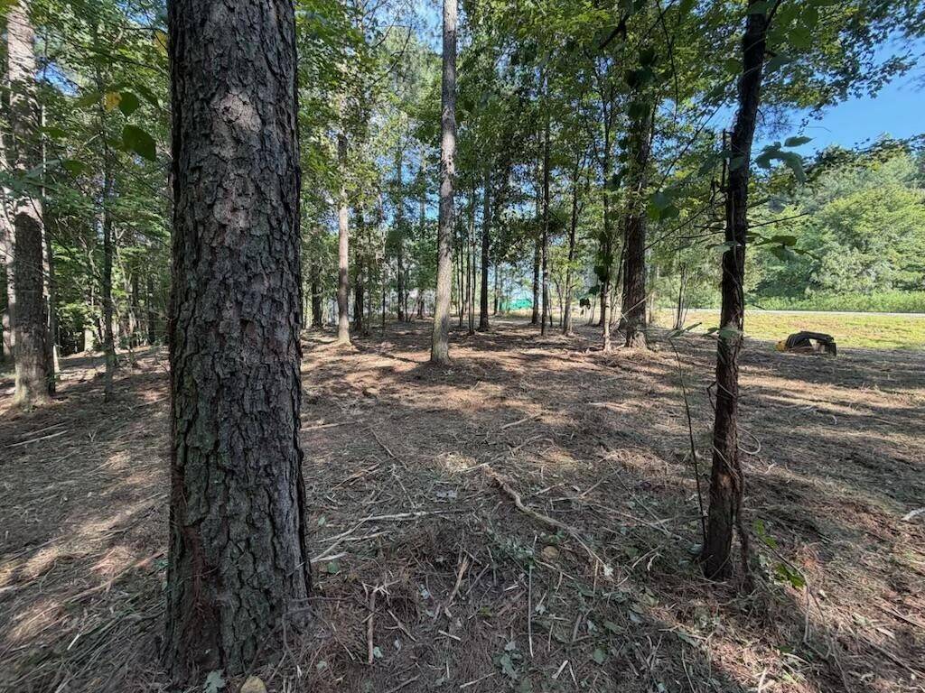 3715 Split Rail Way, Guild, TN 37340