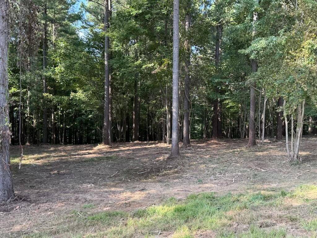 3715 Split Rail Way, Guild, TN 37340
