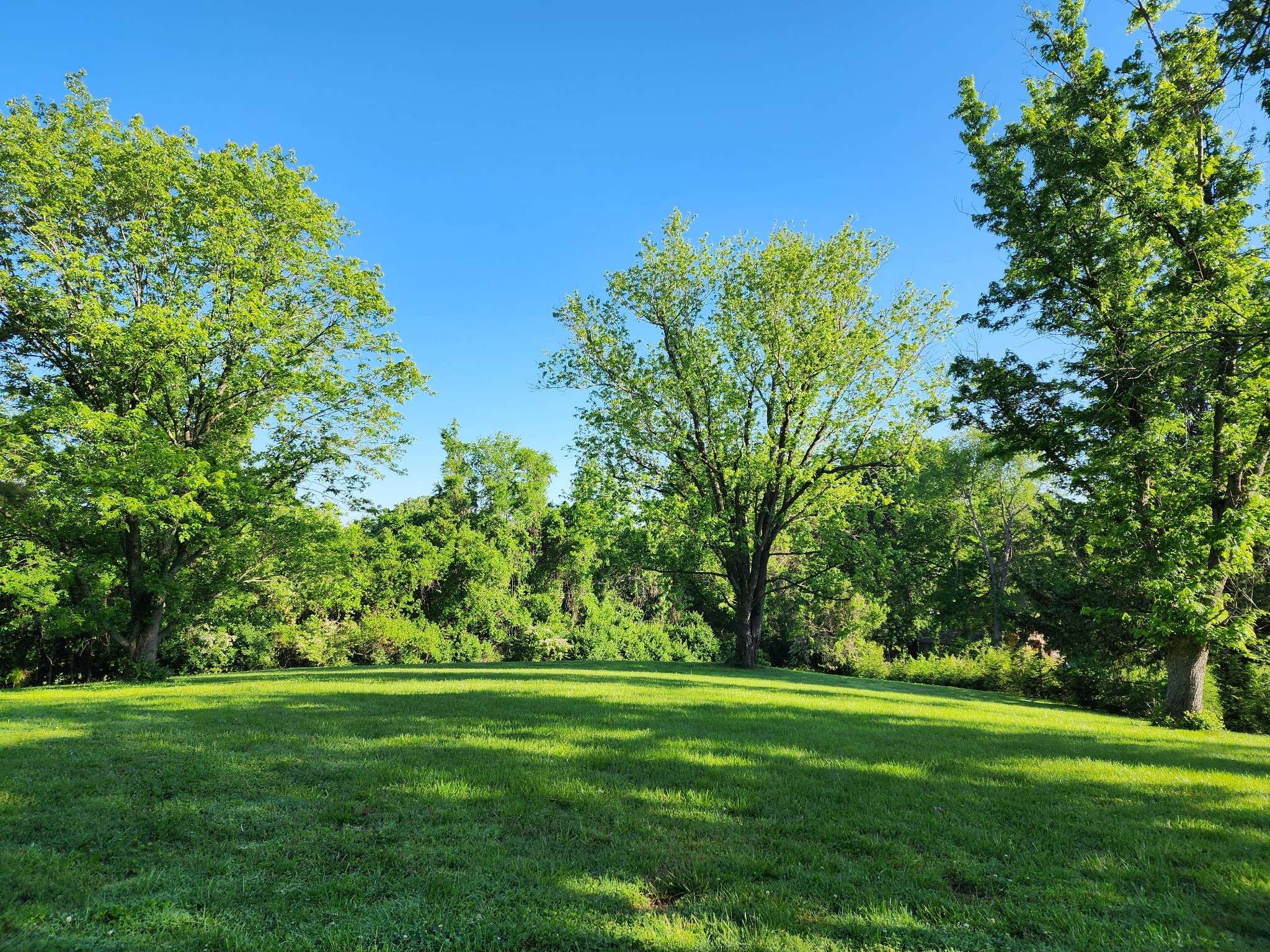 2613 Lishwood Dr, Nashville, TN 37214