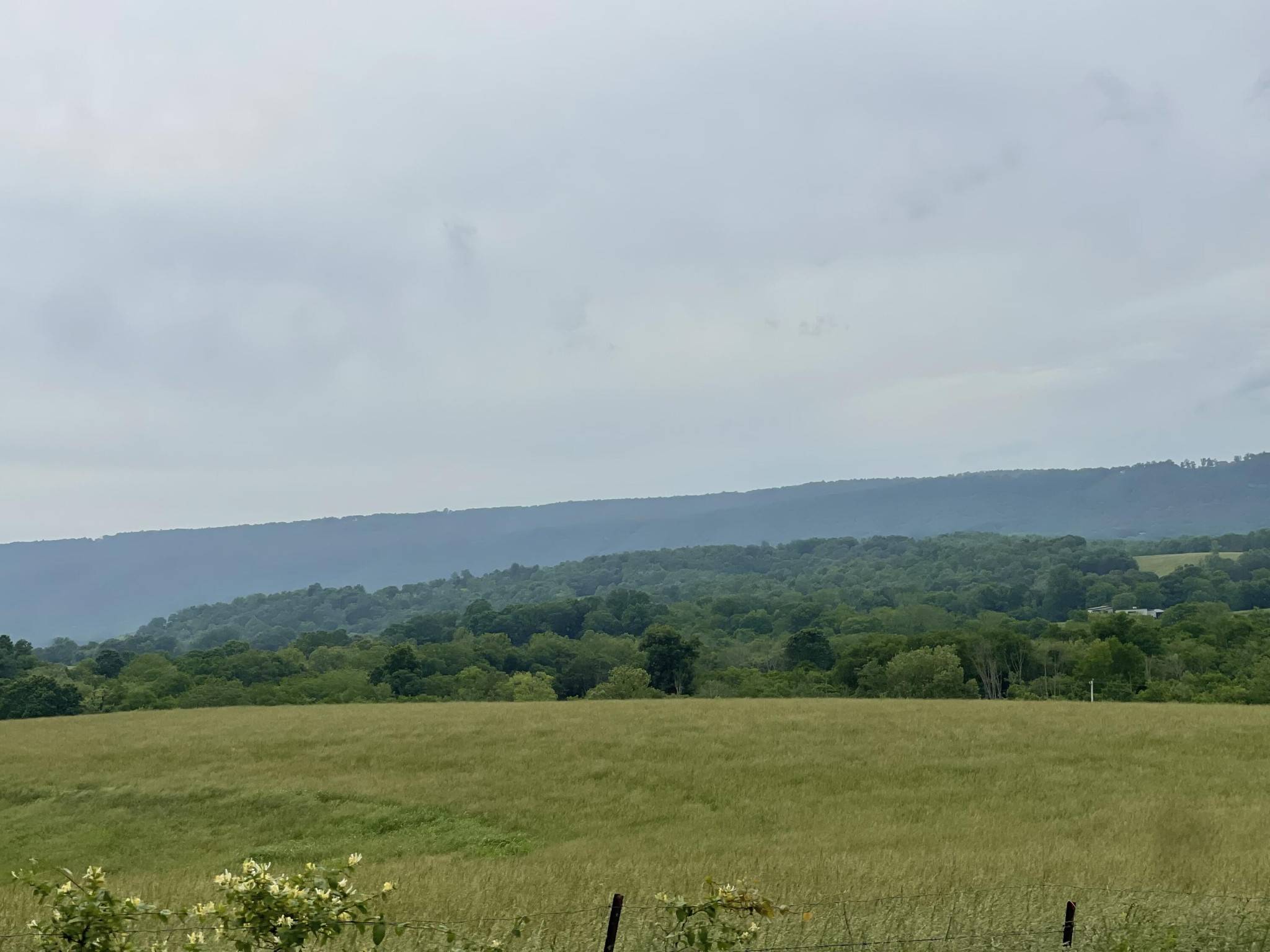 496 Aultville Trail, Pikeville, TN 37367