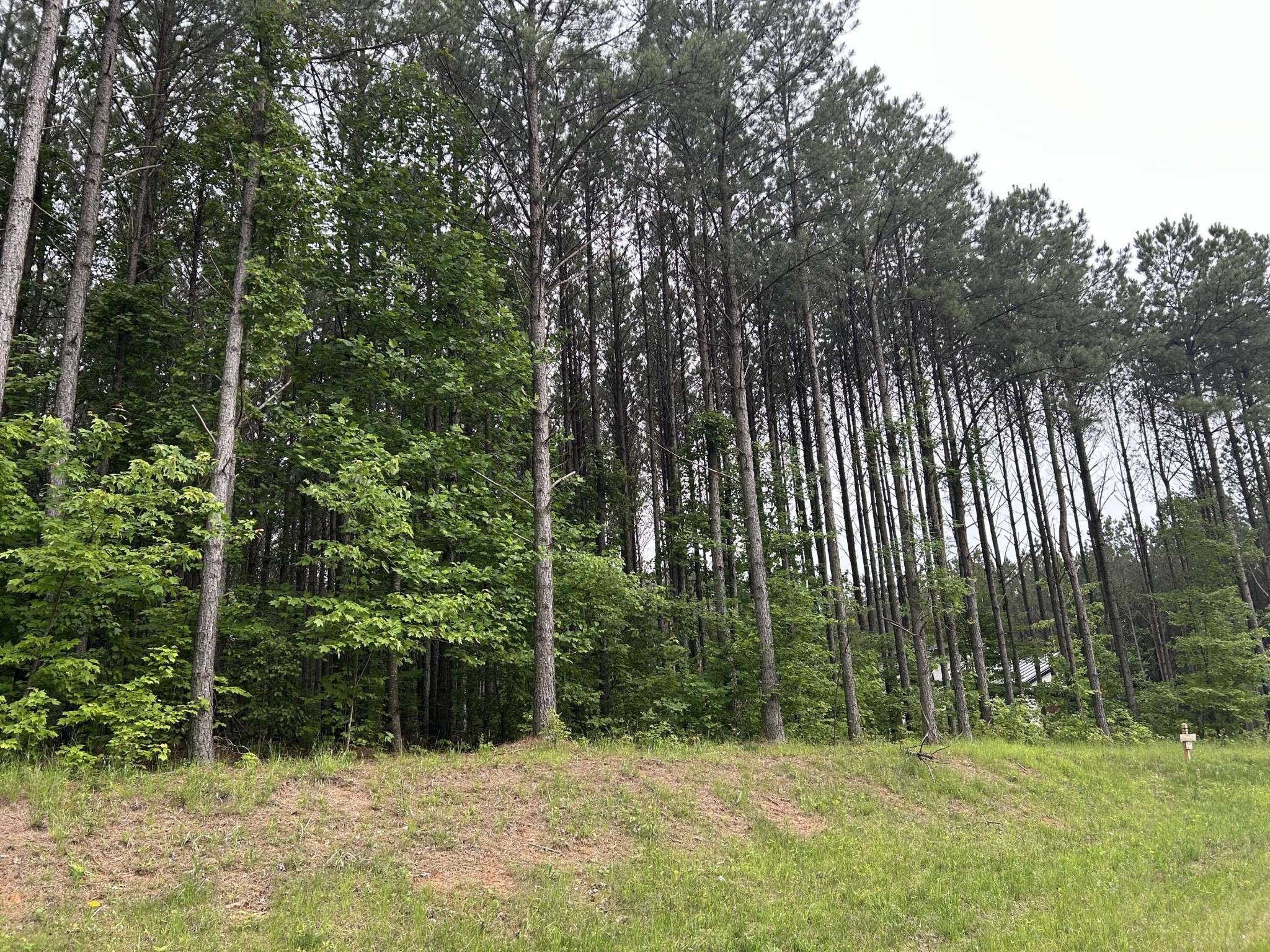 1771 Crockett Point, Jasper, TN 37347