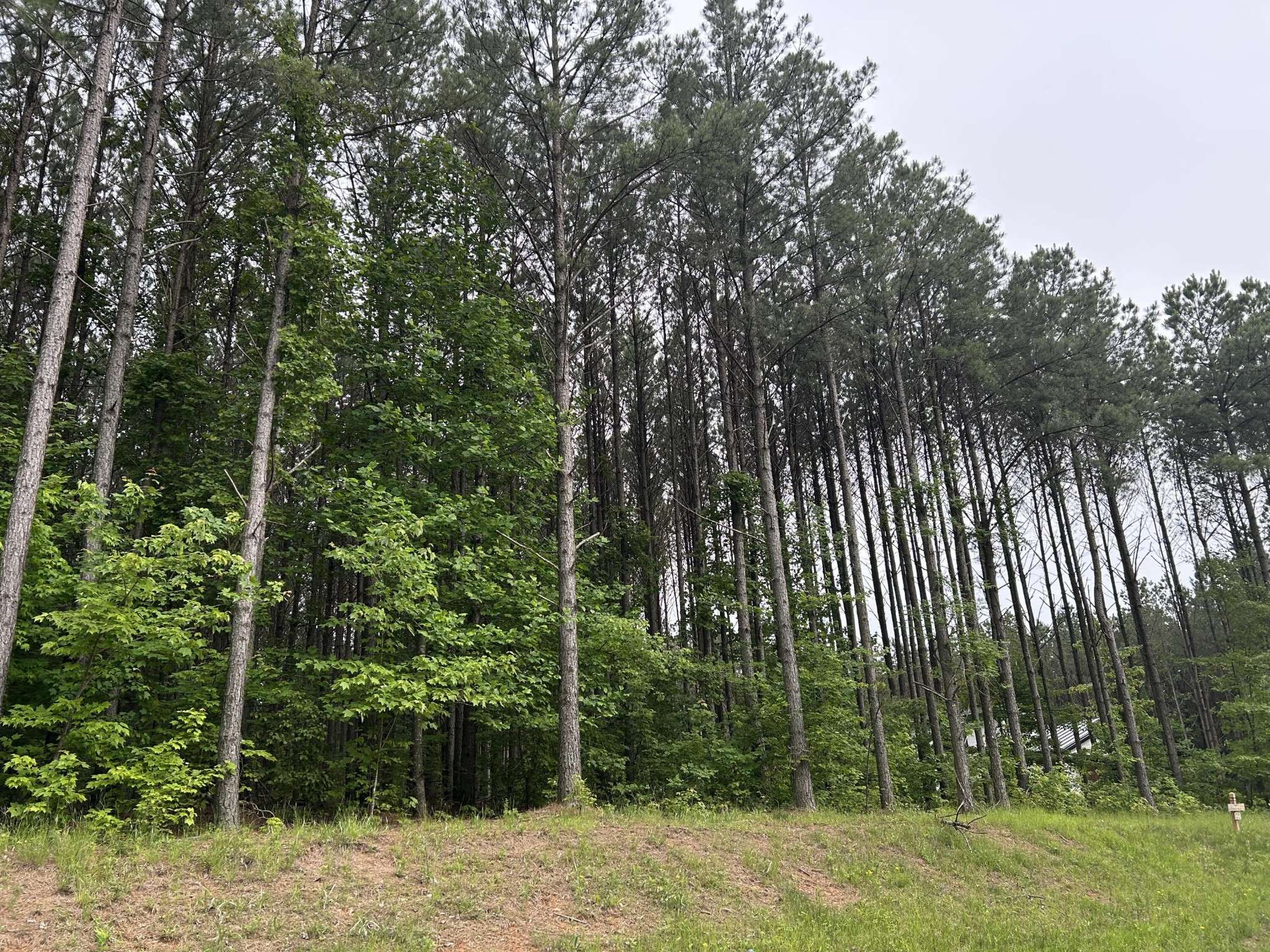 1771 Crockett Point, Jasper, TN 37347