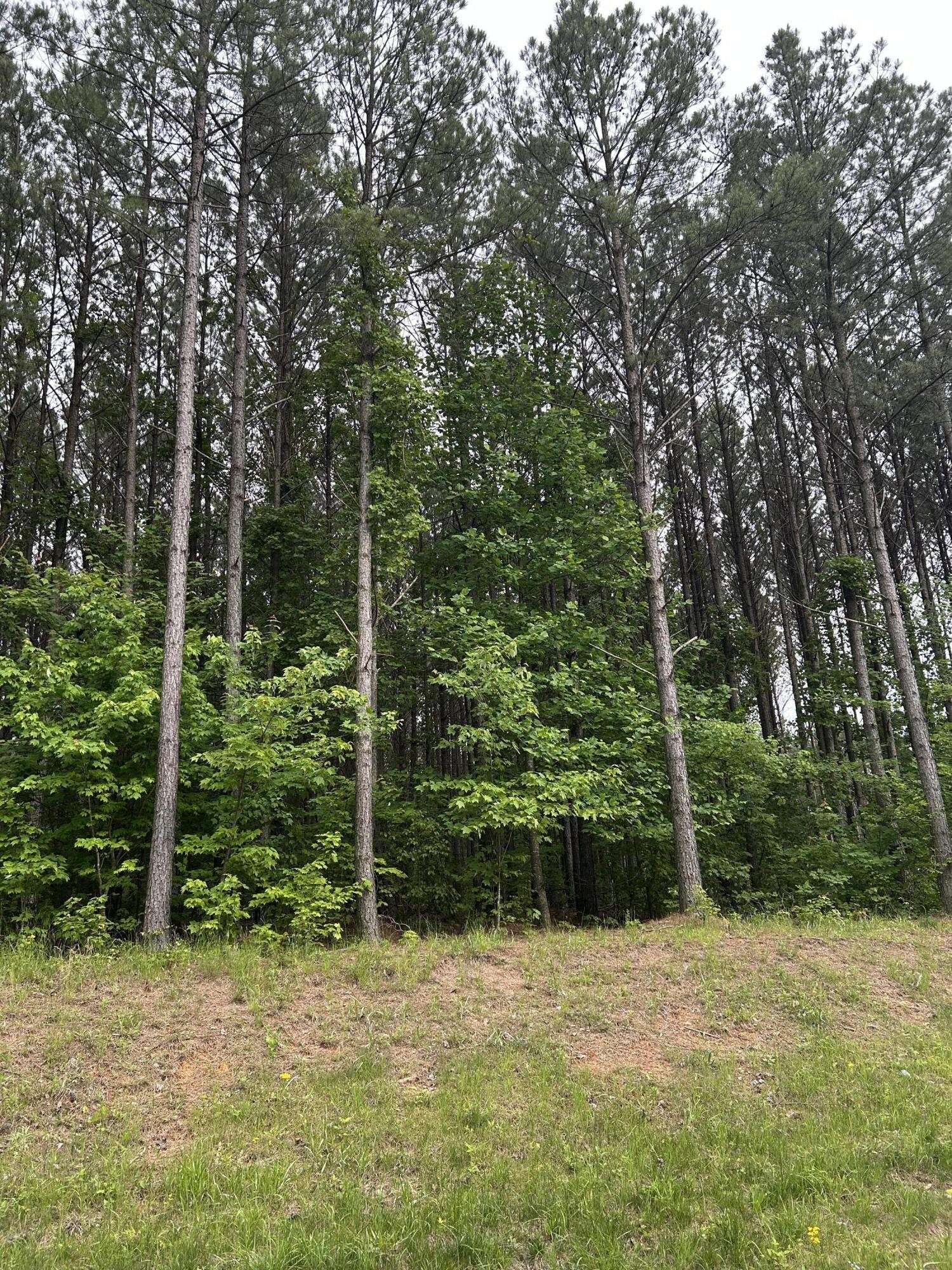 1771 Crockett Point, Jasper, TN 37347