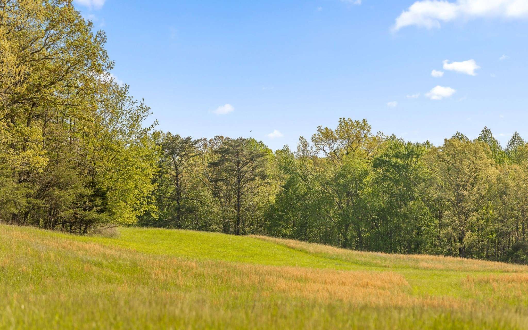 384 Clouse Hill Road, Tracy City, TN 37387