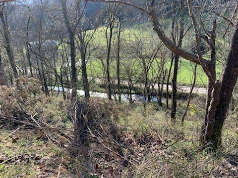 662 Wilmore Hollow Rd, Pleasant Shade, TN 37145