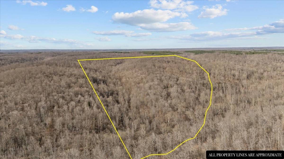 0 West of Magnolia Road, Stewart, TN 37175