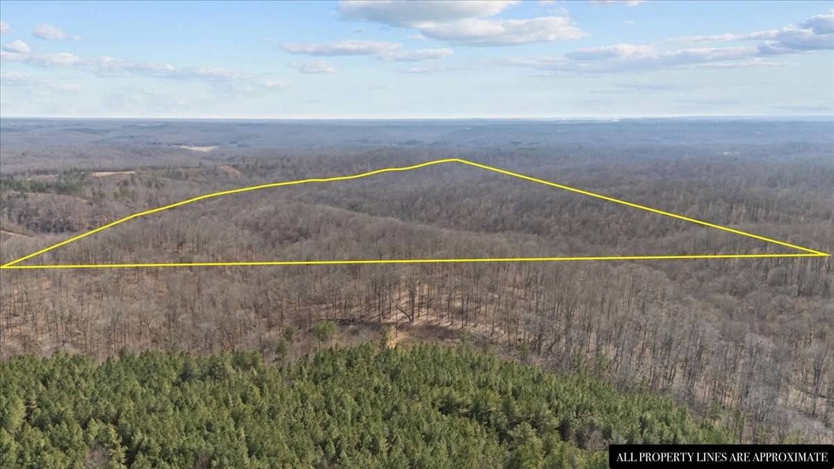 0 West of Magnolia Road, Stewart, TN 37175