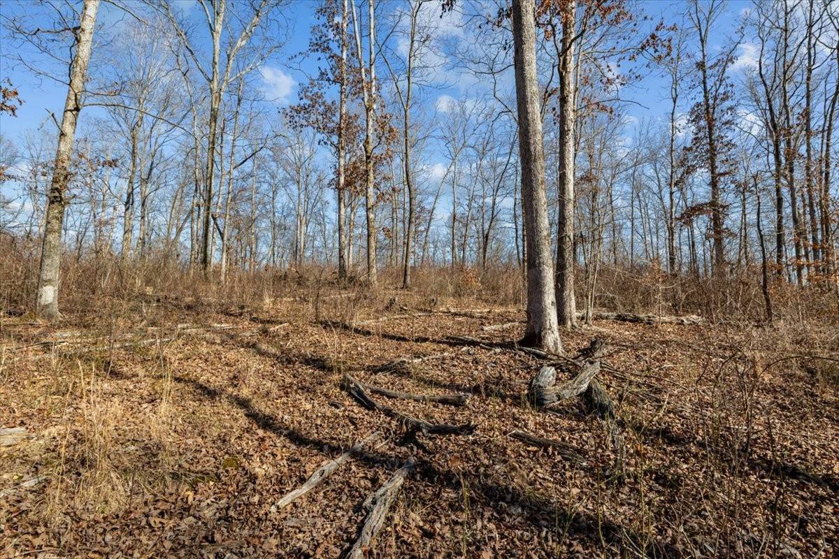 0 West of Magnolia Road, Stewart, TN 37175