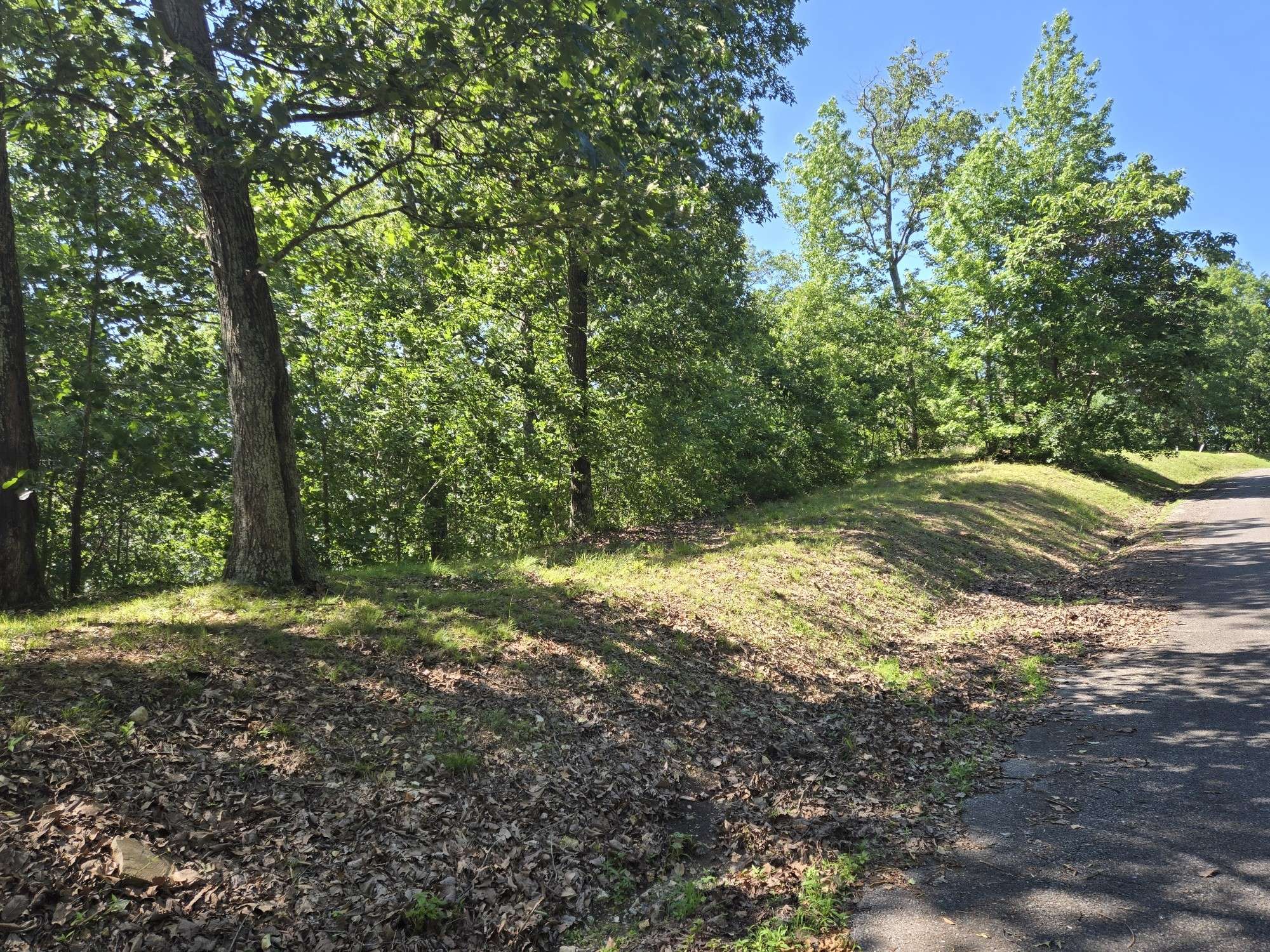 0 Sunset Ridge, Waverly, TN 37185