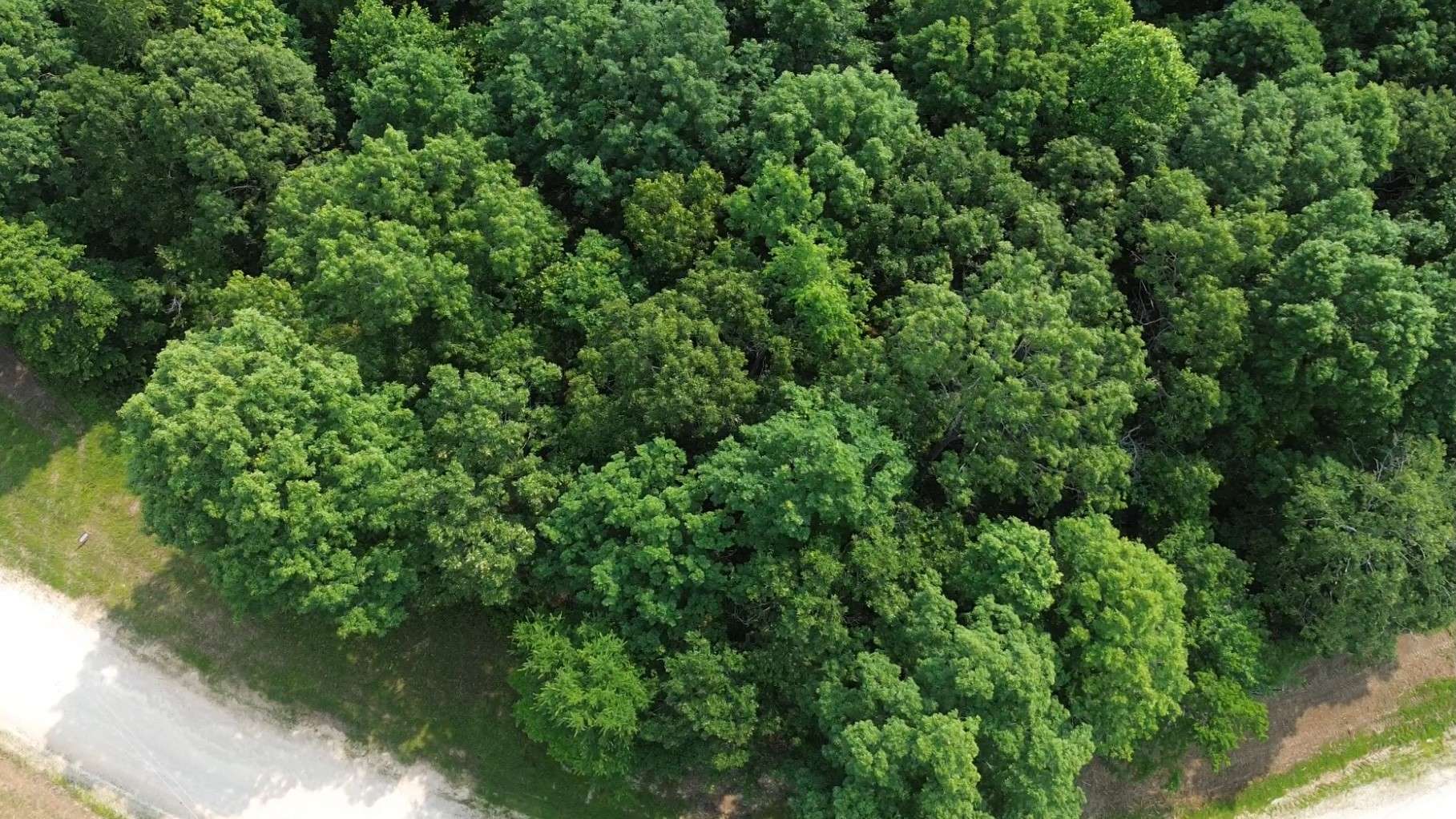 0 Owl Circle, Hurricane Mills, TN 37078