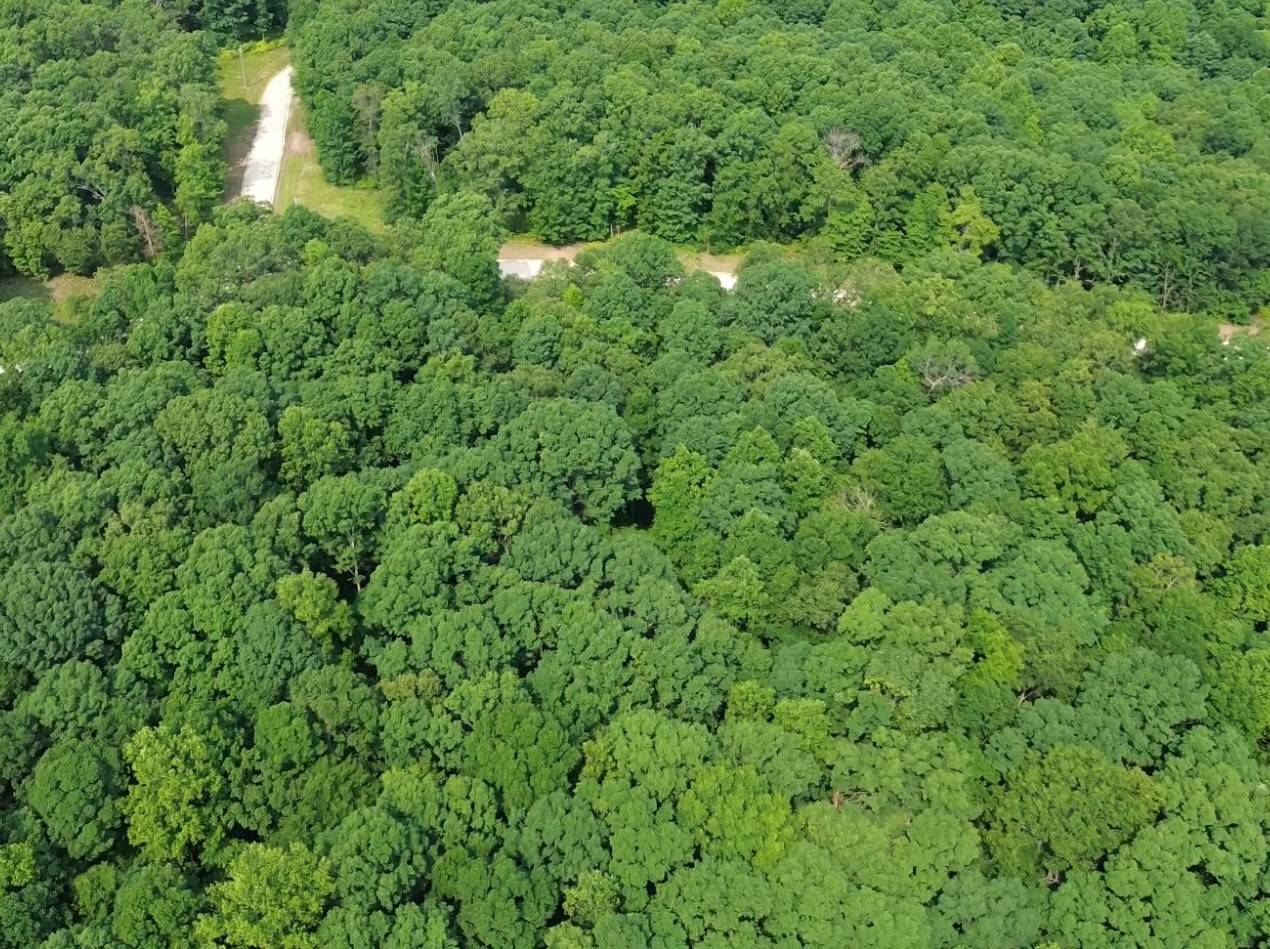 0 Owl Circle, Hurricane Mills, TN 37078