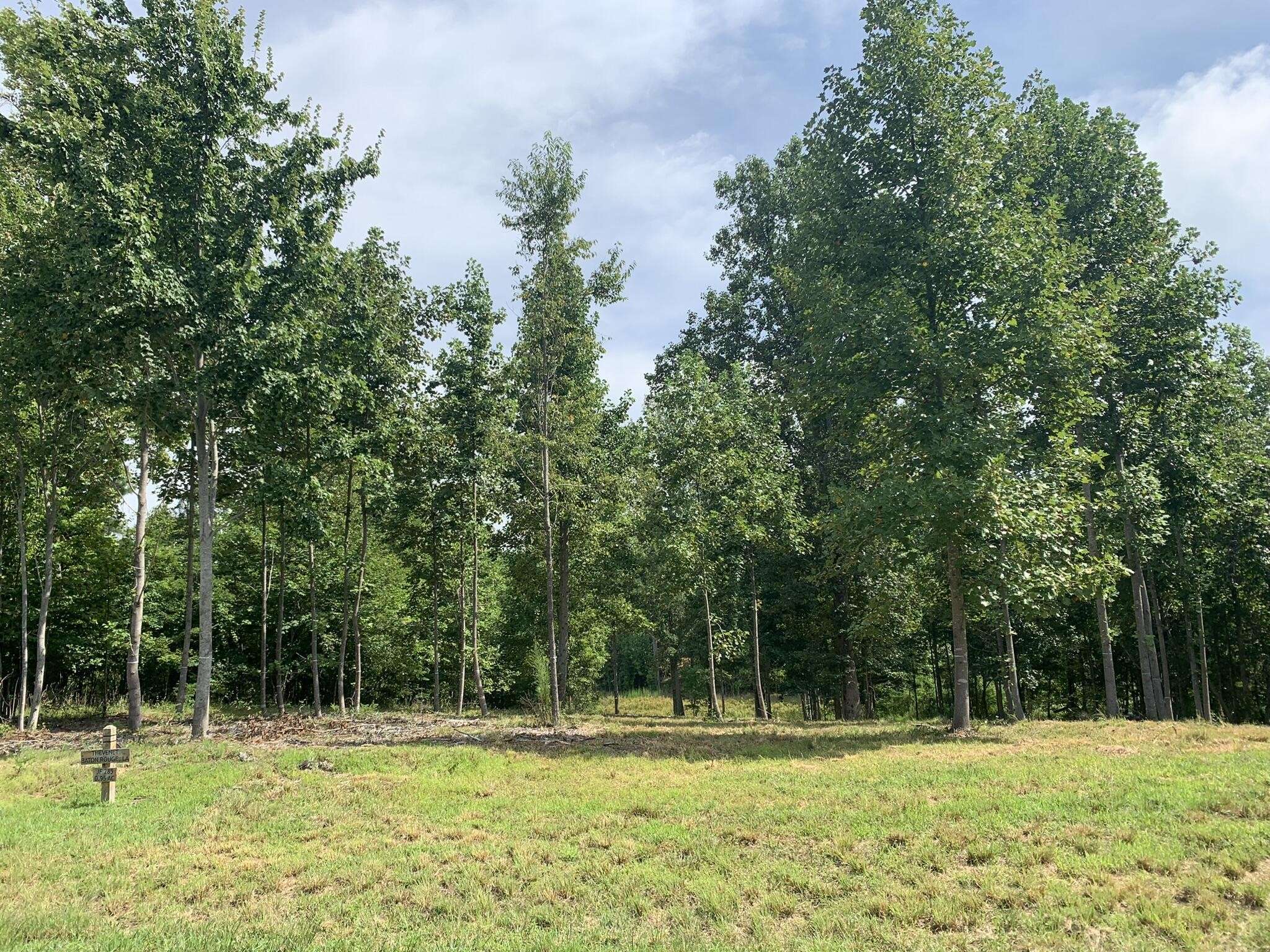350 Crockett Loop, Jasper, TN 37347