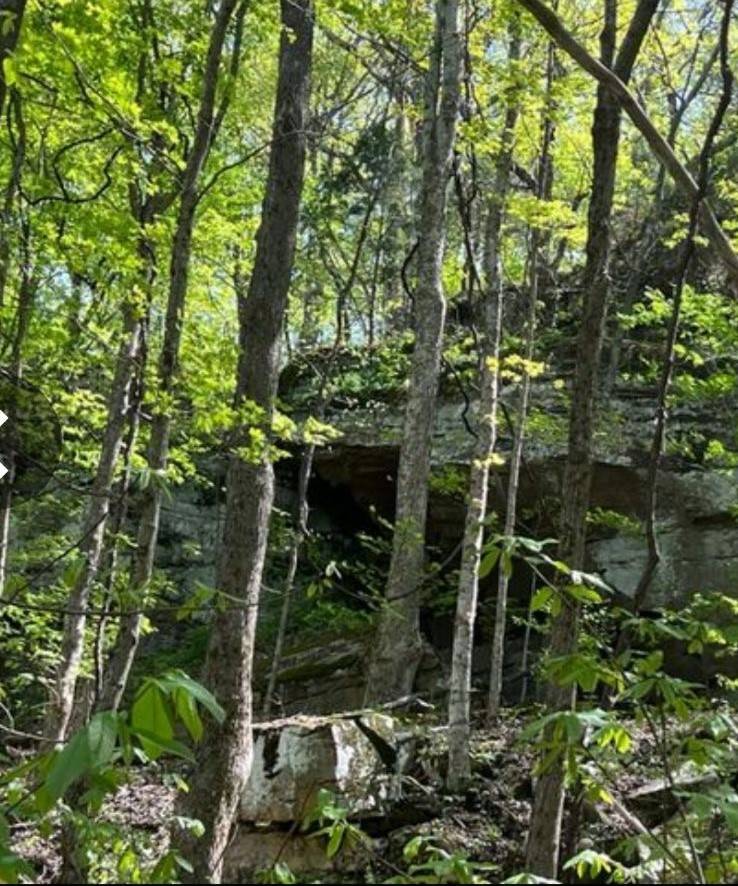 0 SHEEP BLUFF ROAD, Cookeville, TN 38506