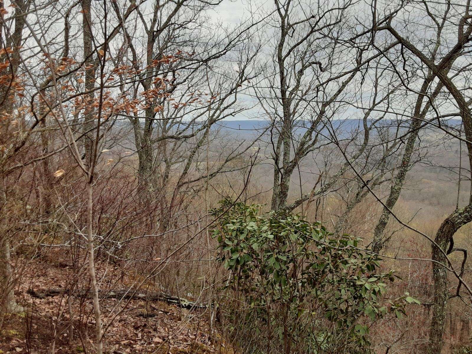 0 SHEEP BLUFF ROAD, Cookeville, TN 38506