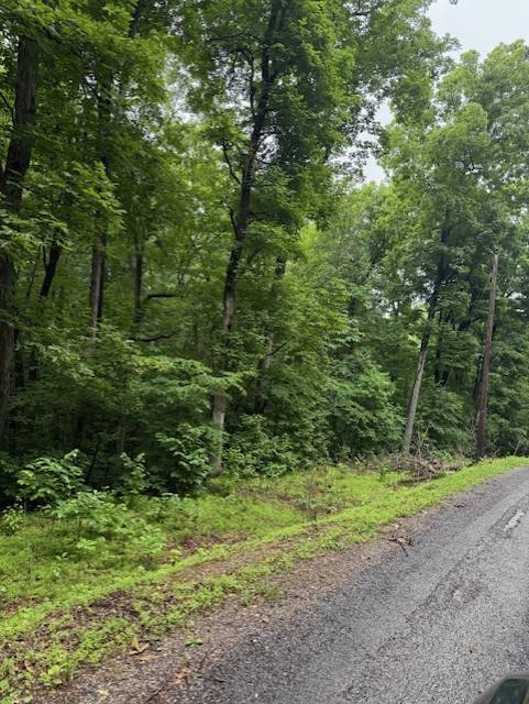 0 Mayapple Drive, Cadiz, KY 42211