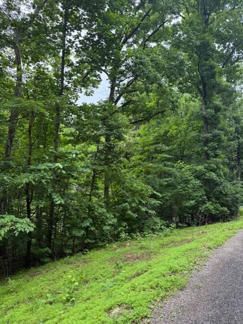 0 Mayapple Drive, Cadiz, KY 42211