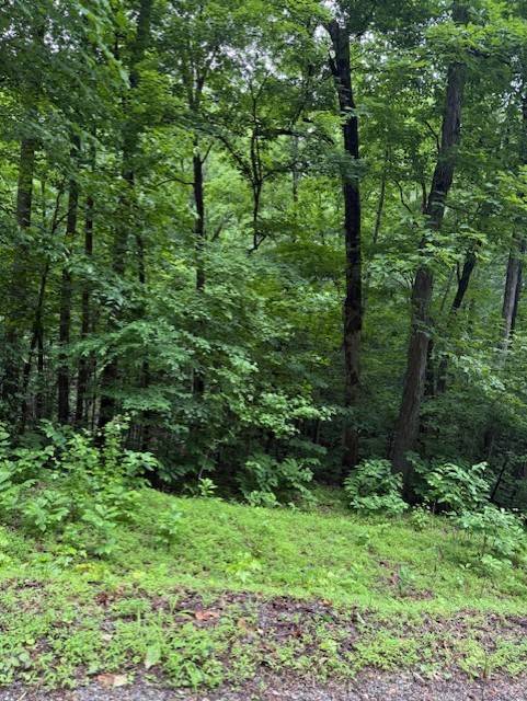 0 Mayapple Drive, Cadiz, KY 42211