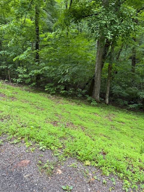 0 Mayapple Drive, Cadiz, KY 42211
