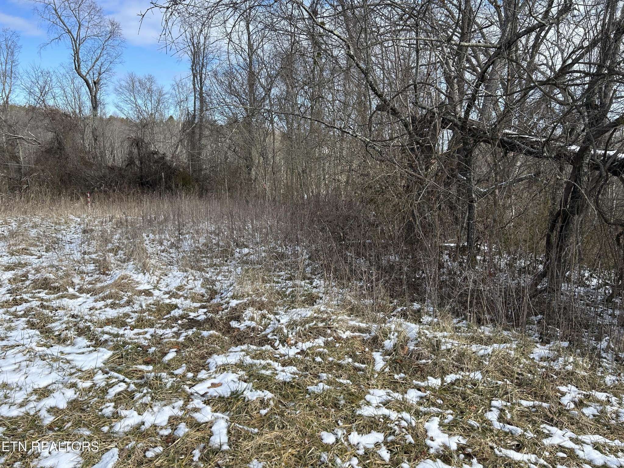 0 Chapman Rd, Jamestown, TN 38556