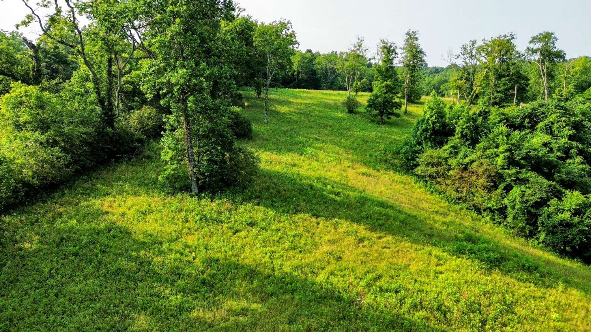 0 Hwy 64 W, Pulaski, TN 38478