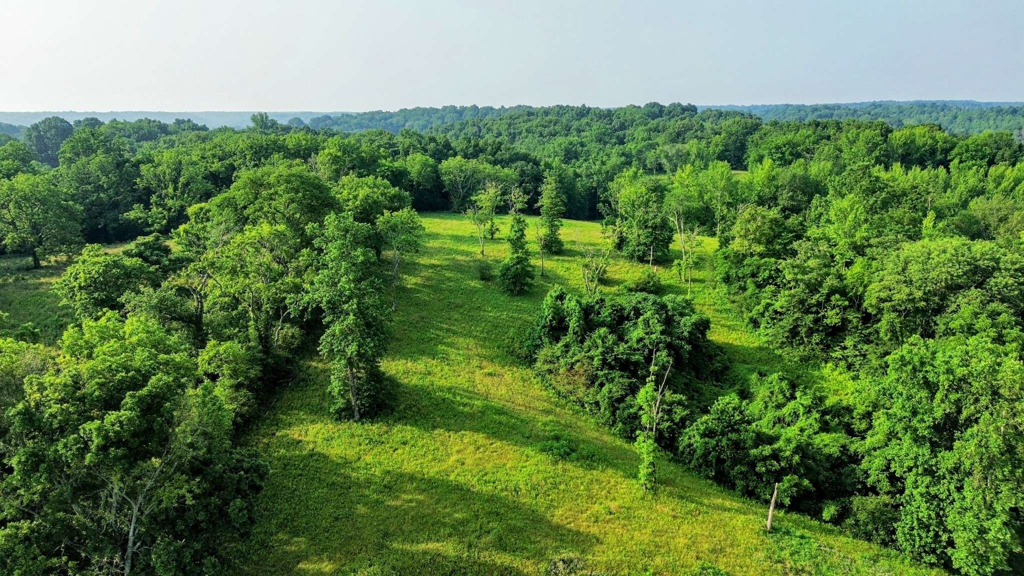 0 Hwy 64 W, Pulaski, TN 38478