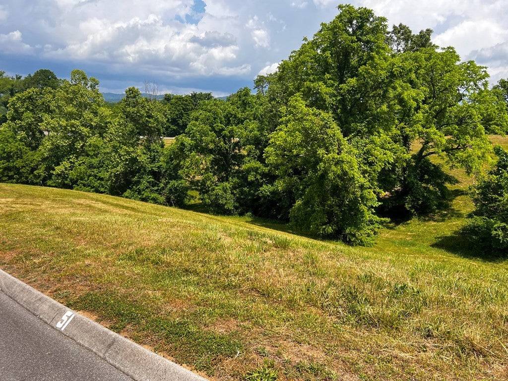 6377 Coves Edge Trl, Russellville, TN 37860