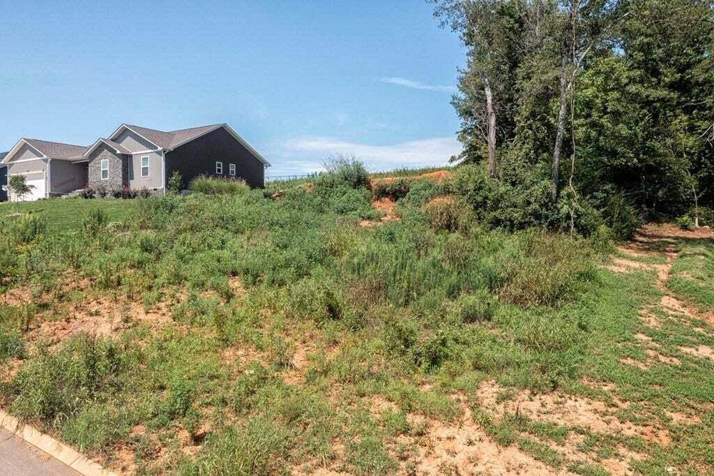 211 Mockingbird Lane, Dayton, TN 37321