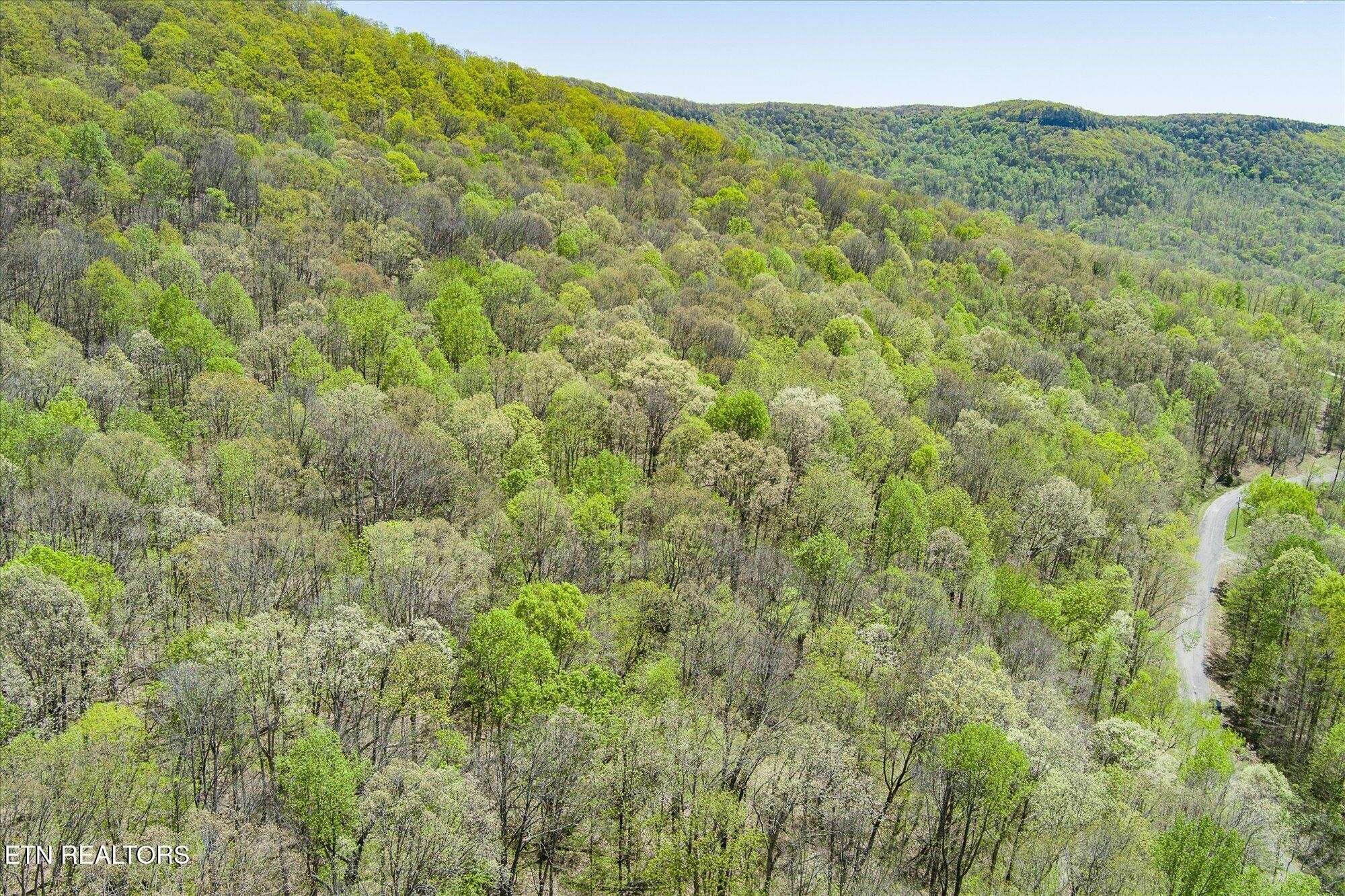 0 Pawnee Lane, Jamestown, TN 38556