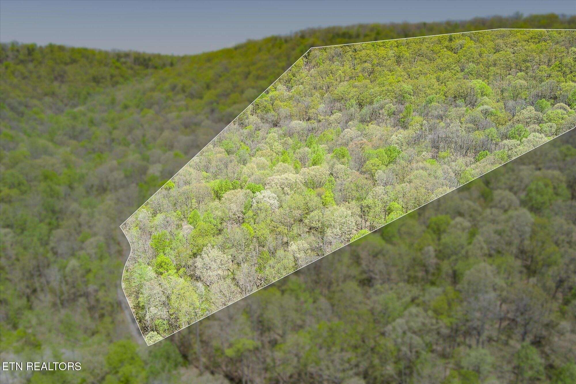 0 Pawnee Lane, Jamestown, TN 38556