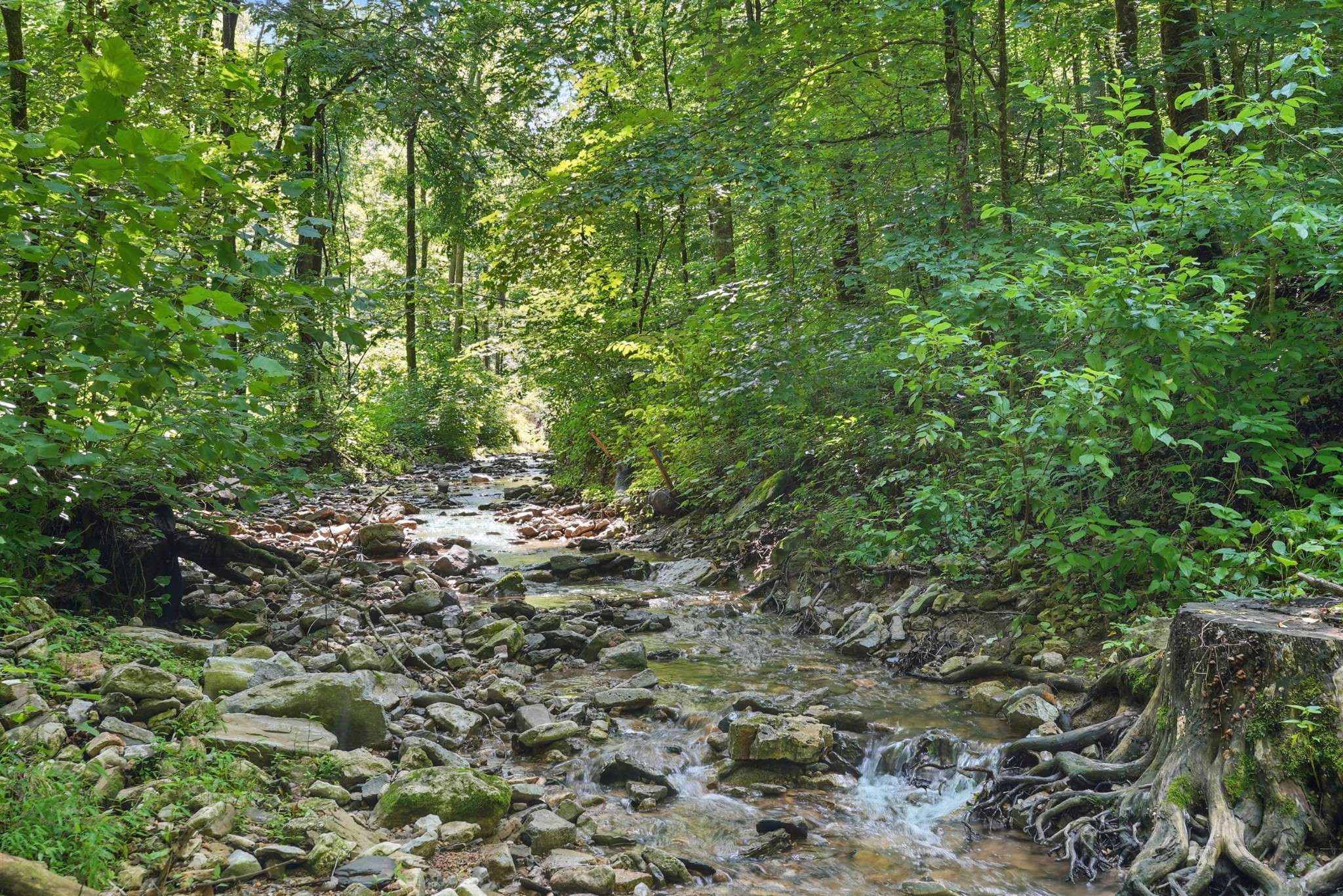 4006 Stones River Rd, Woodbury, TN 37190