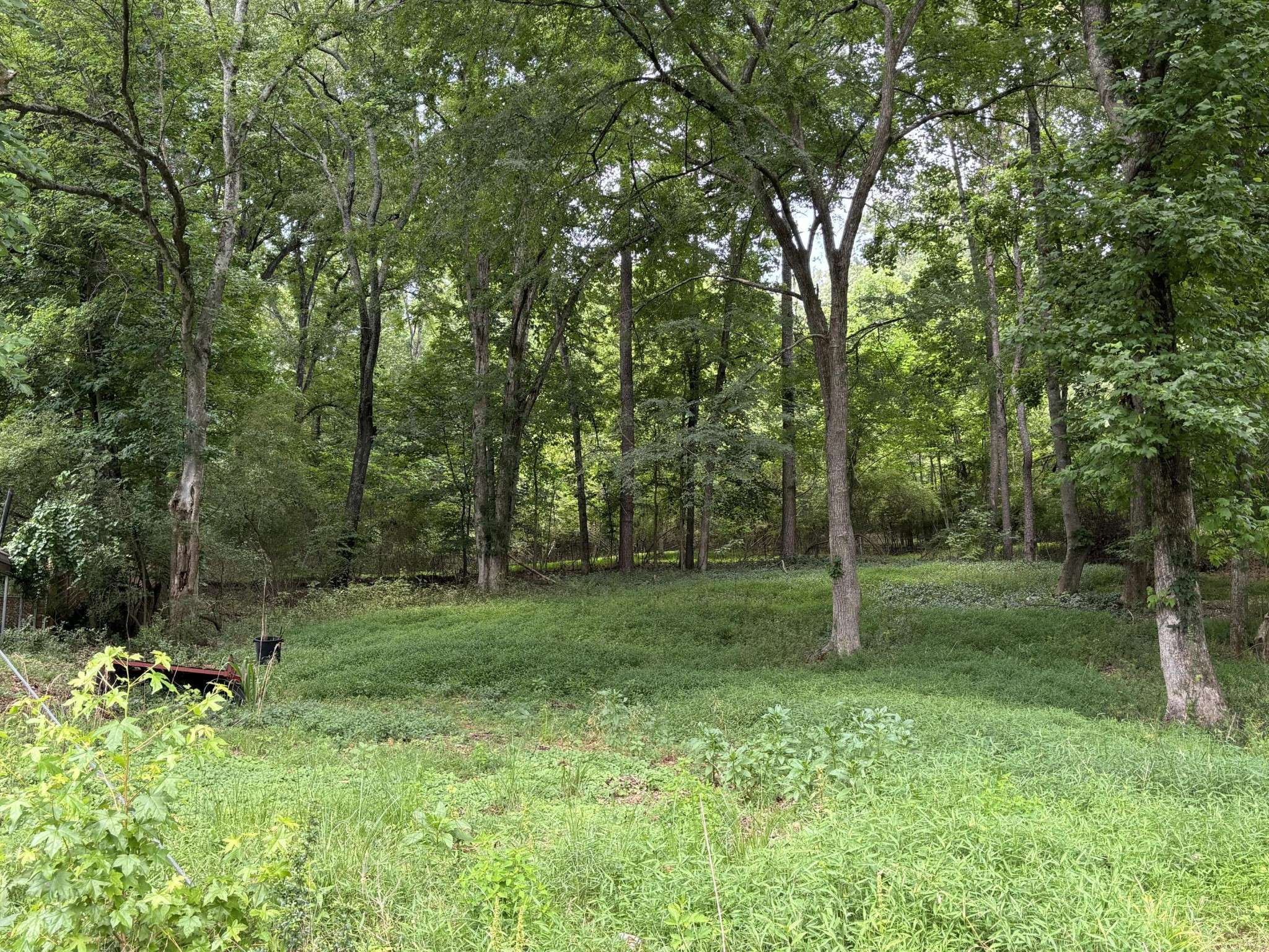 8907 Hidden Branches Road, Harrison, TN 37341