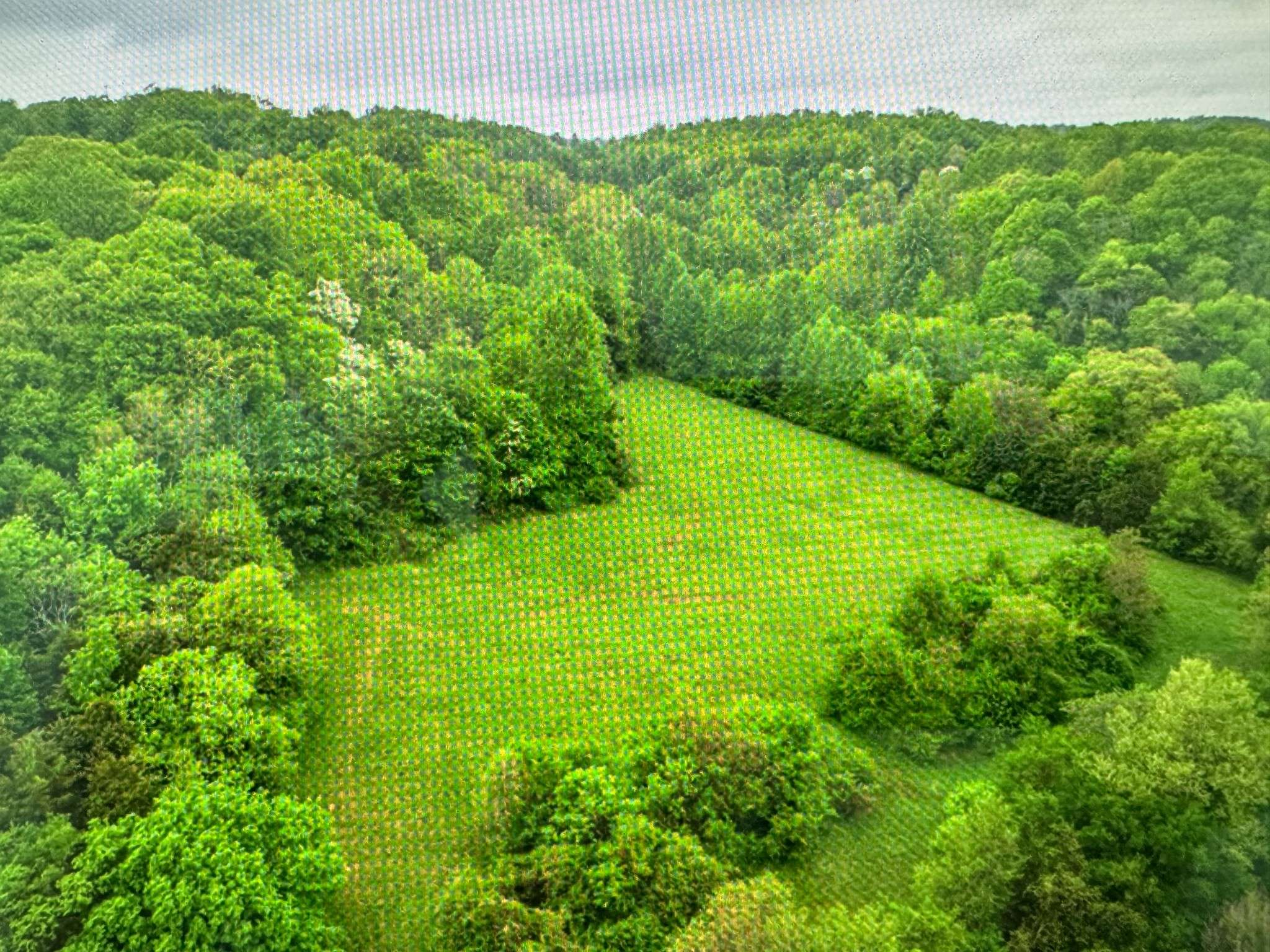 0 Collier Rd, Lewisburg, TN 37091
