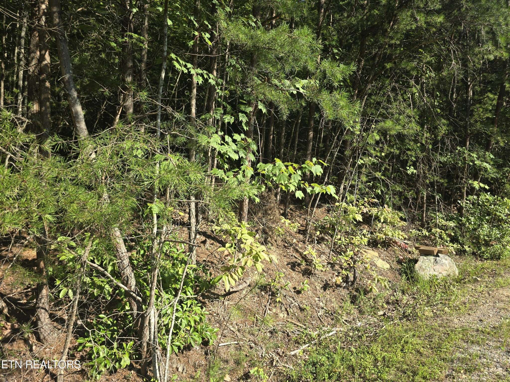 29 Byron Lane, Crossville, TN 38558