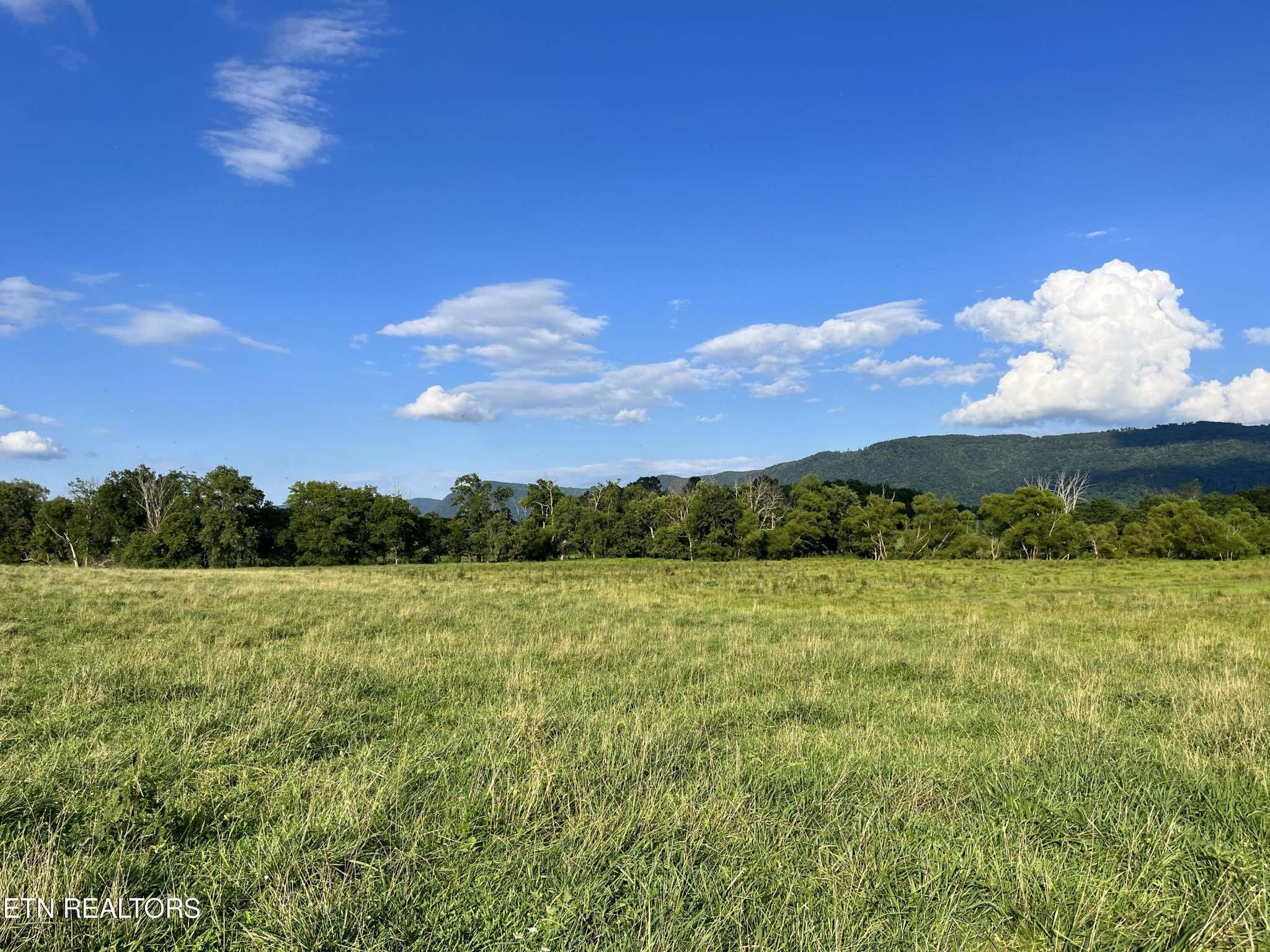 0 Old State Hwy, Pikeville, TN 37367
