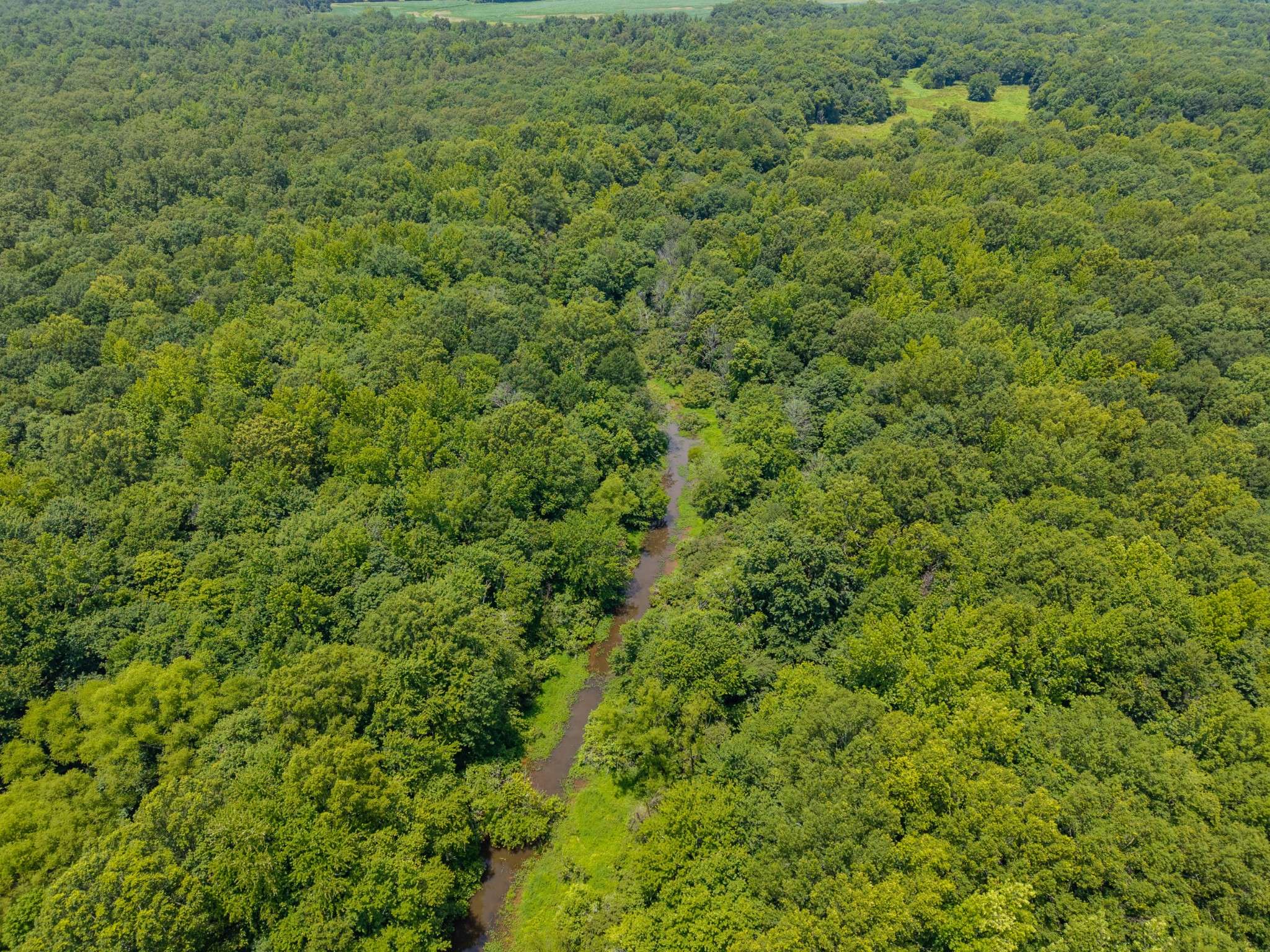 0 Old Railroad Bed Rd, Taft, TN 38488