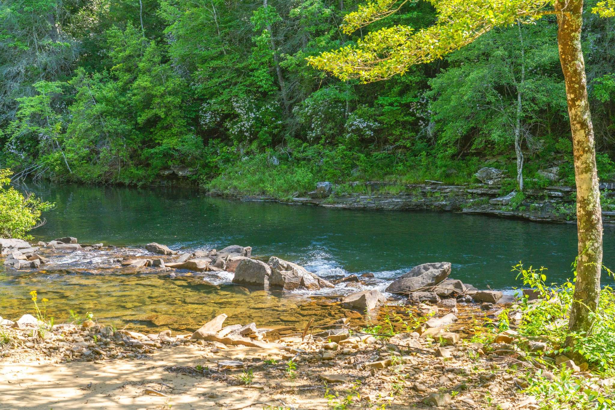 0 Echo Point Road, Dunlap, TN 37327