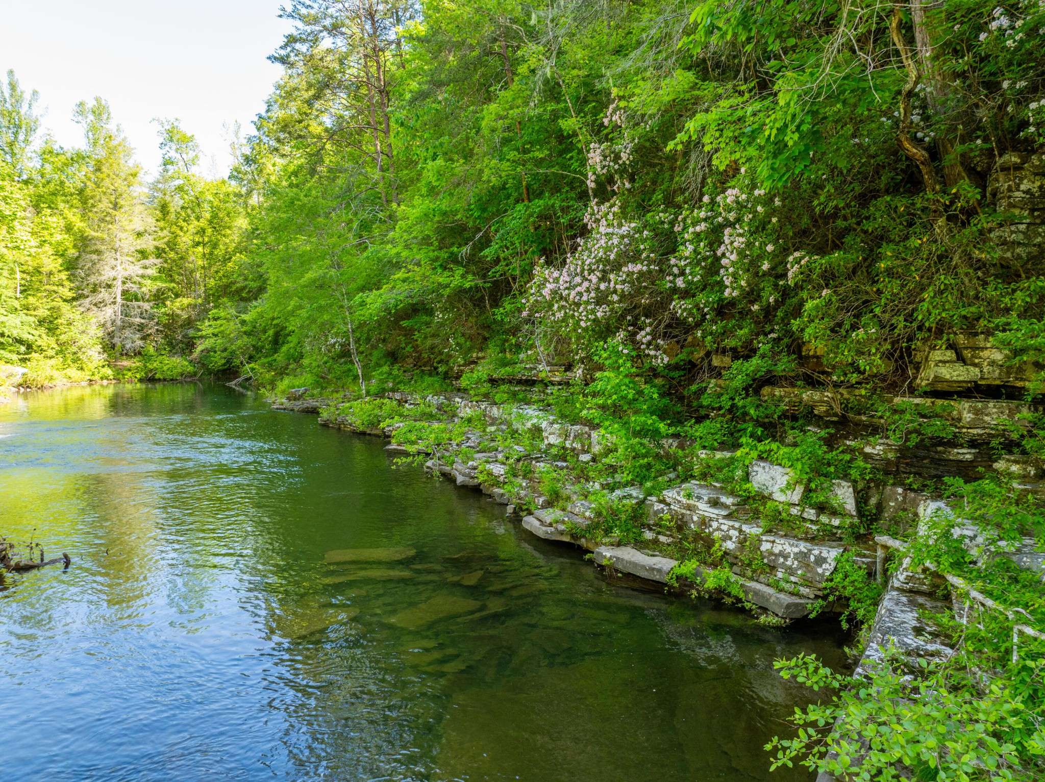 0 Echo Point Road, Dunlap, TN 37327
