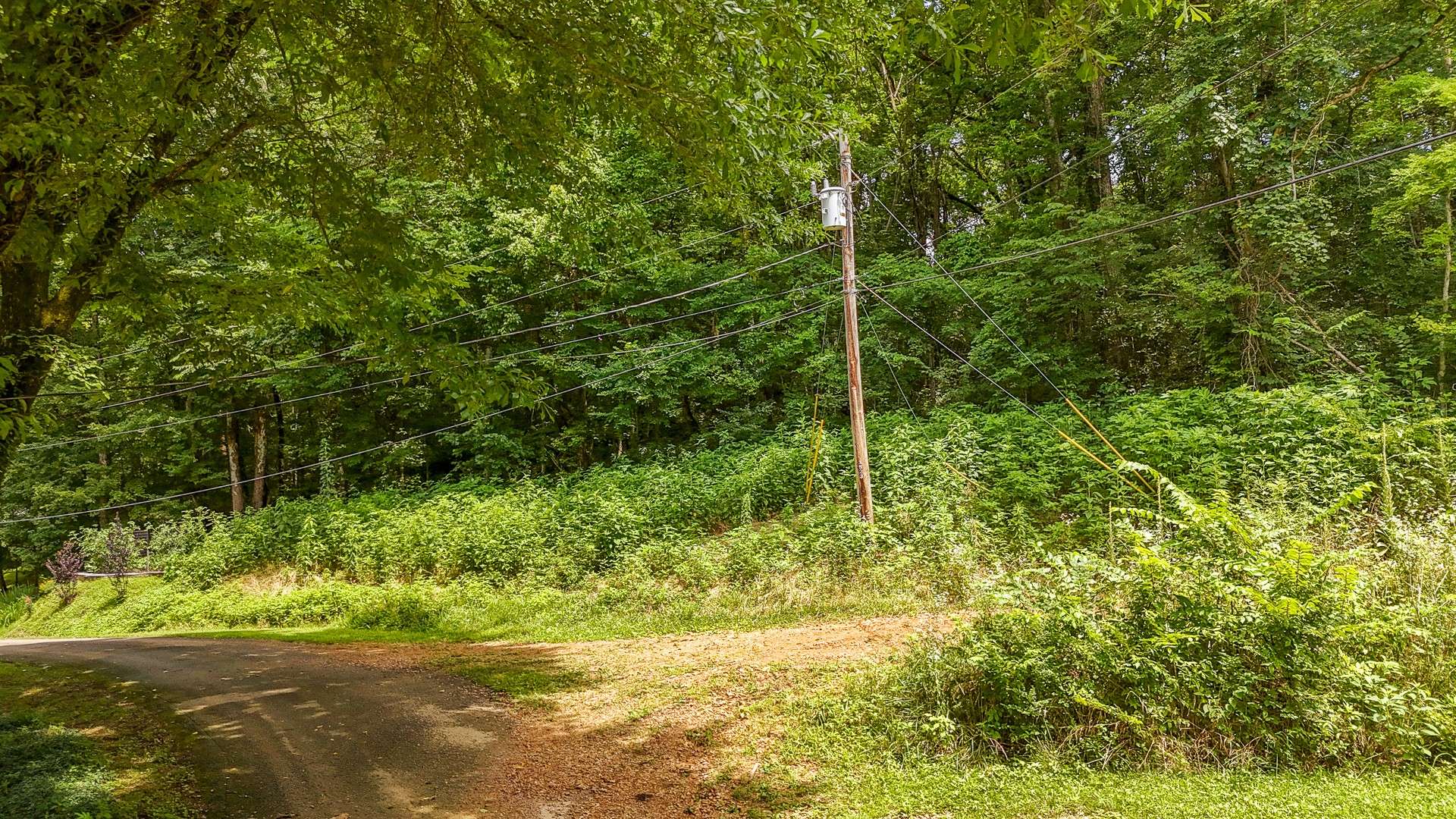 0 Salt Ln, Savannah, TN 38372