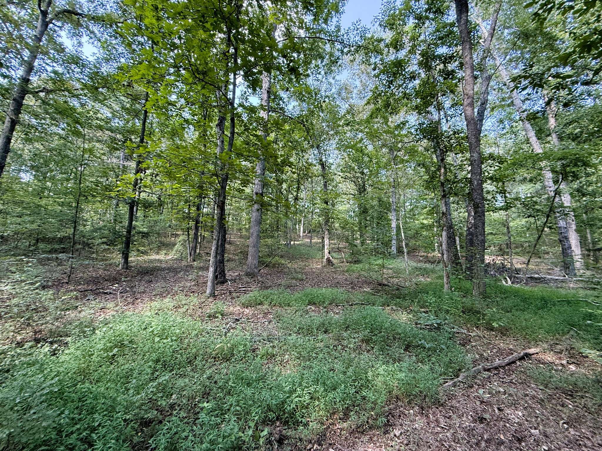 0 Webb Rd Ext, Summertown, TN 38483