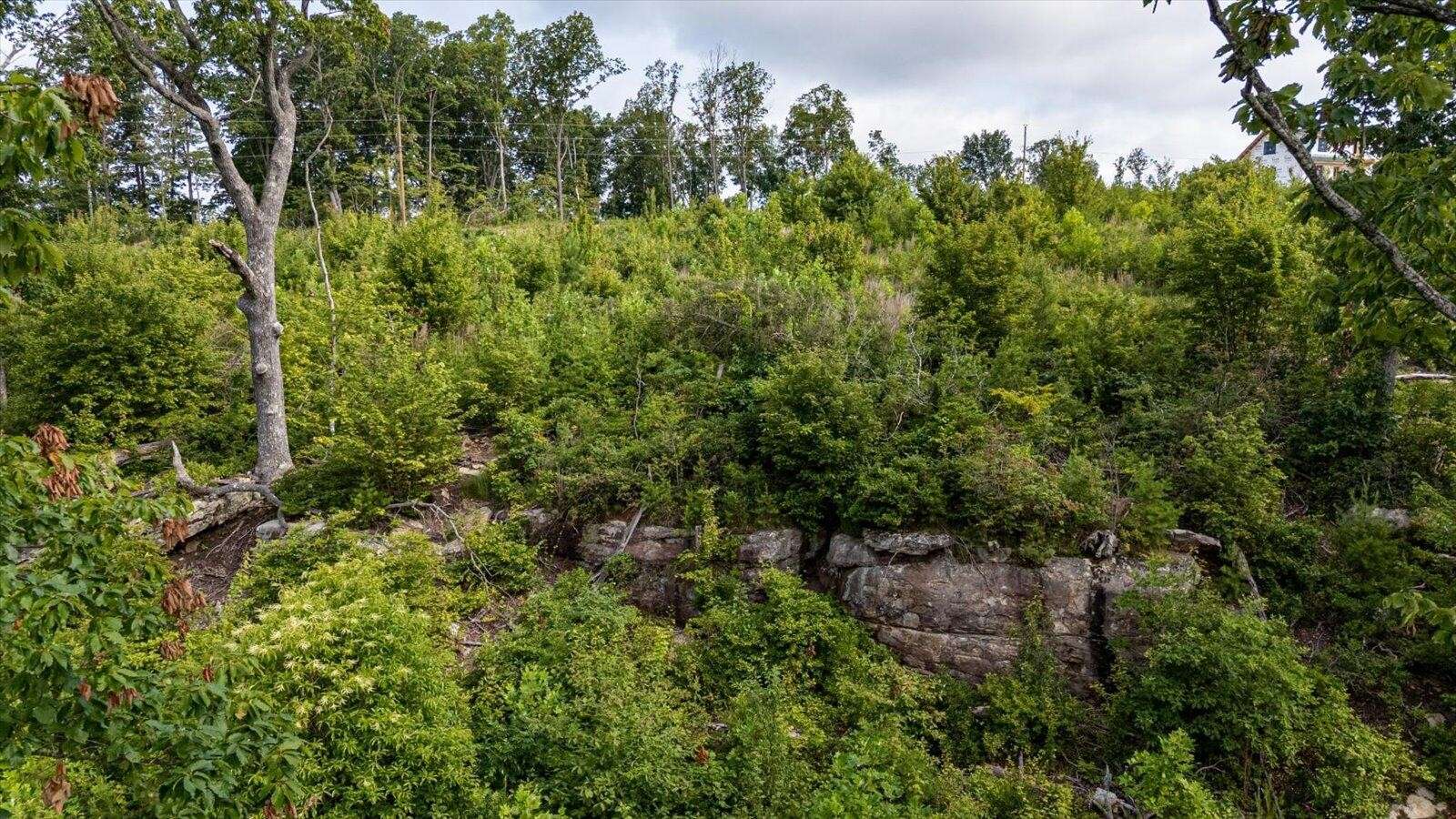 2148 Topside Drive, Spencer, TN 38585