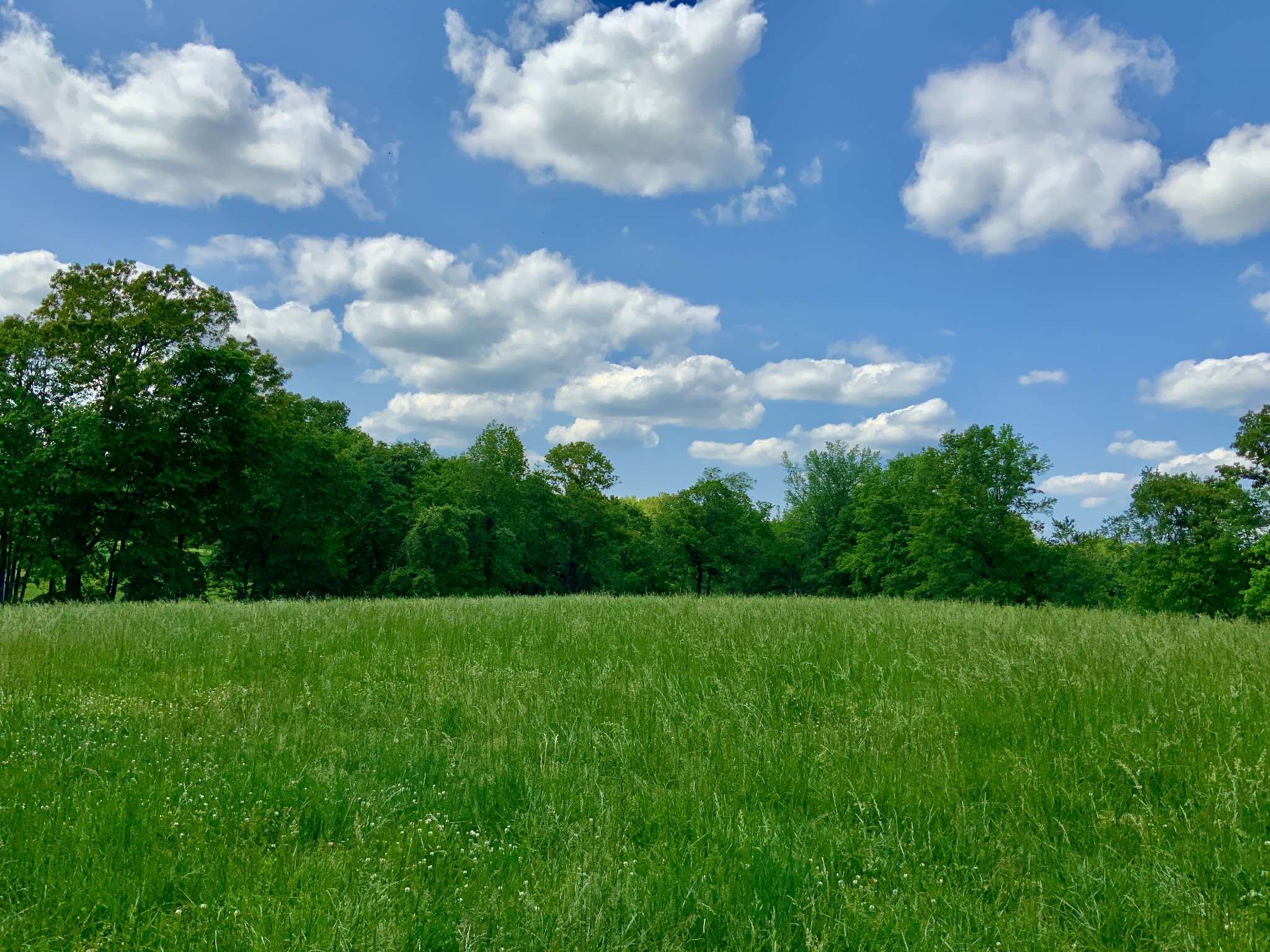 0 HWY 69 S, Paris, TN 38242