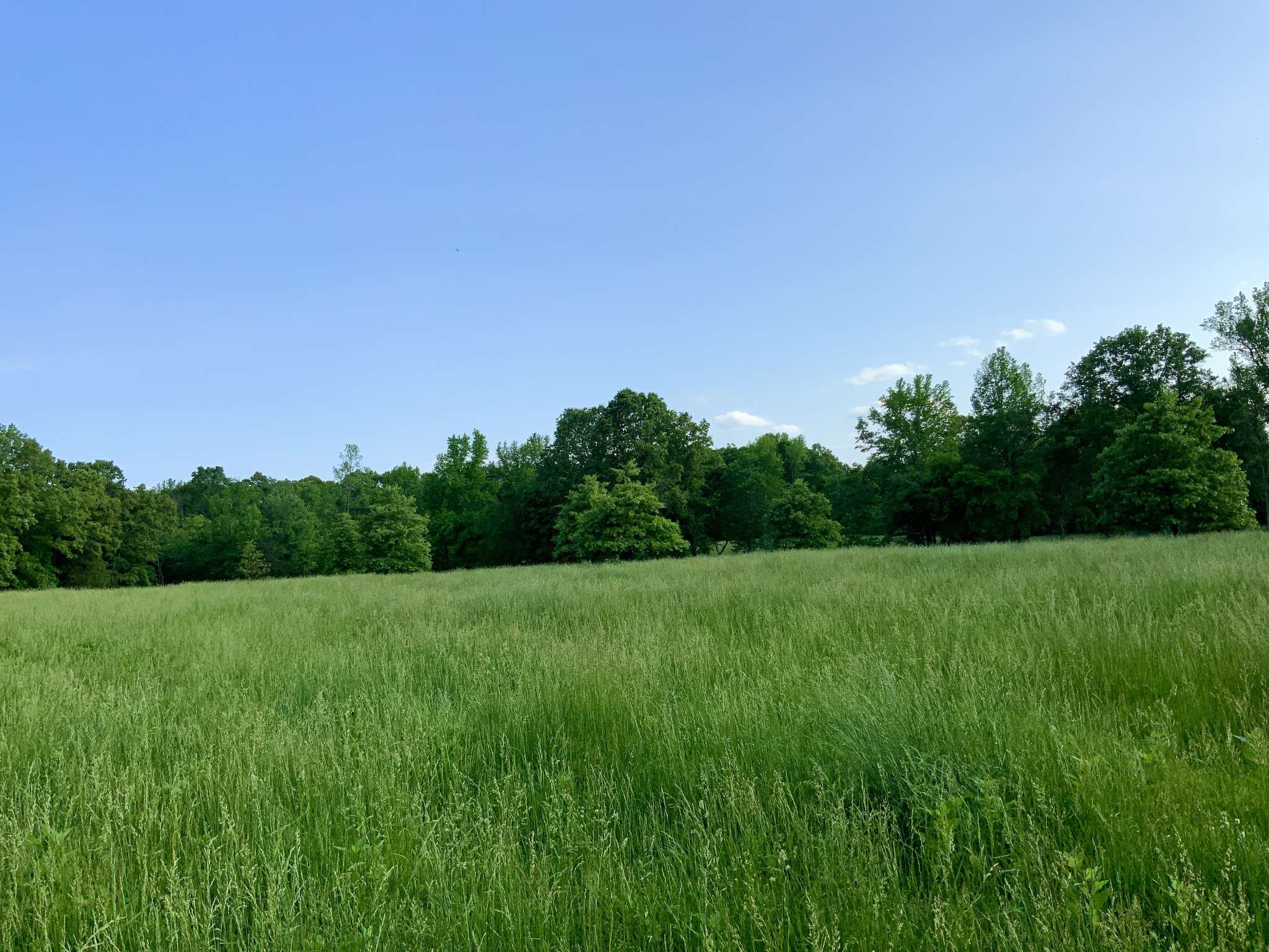 0 HWY 69 S, Paris, TN 38242
