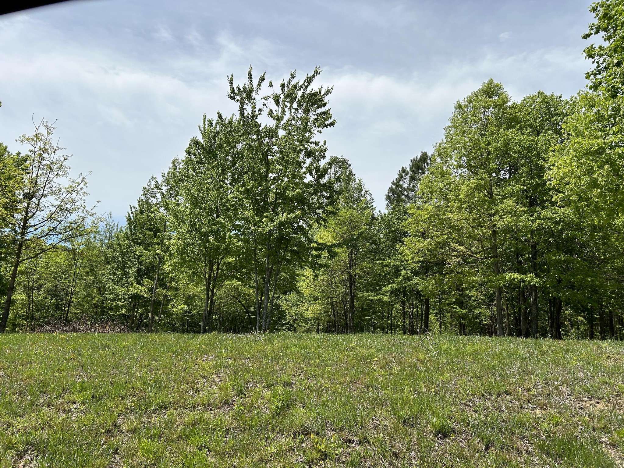 275 Lookout View Drive, Jasper, TN 37347