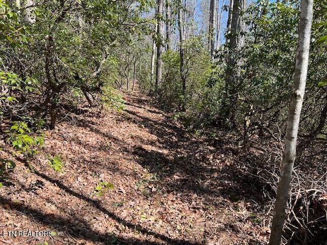 0 Cliff Park Rd, Monterey, TN 38574
