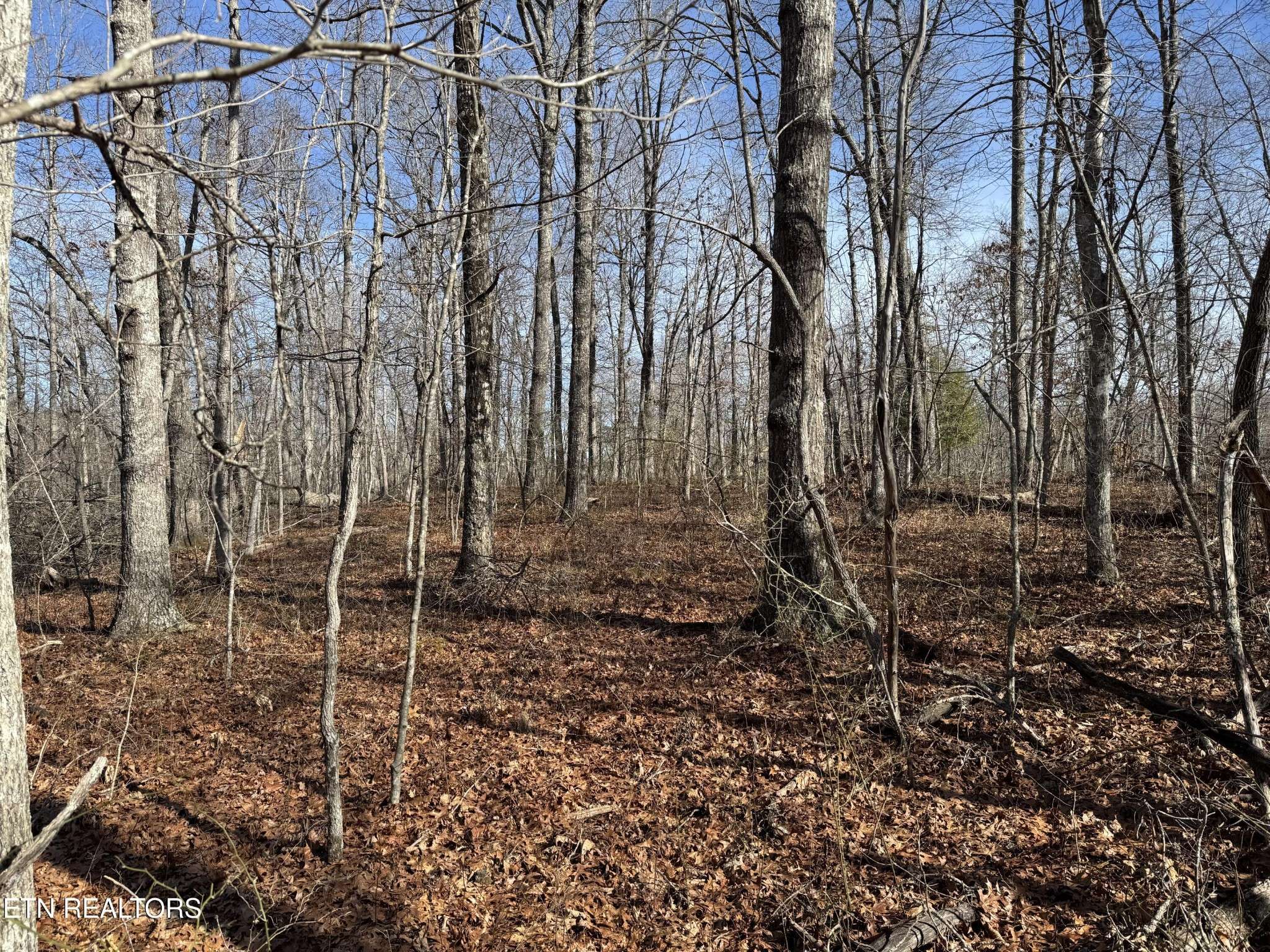 37 Crystal Point, Monterey, TN 38574