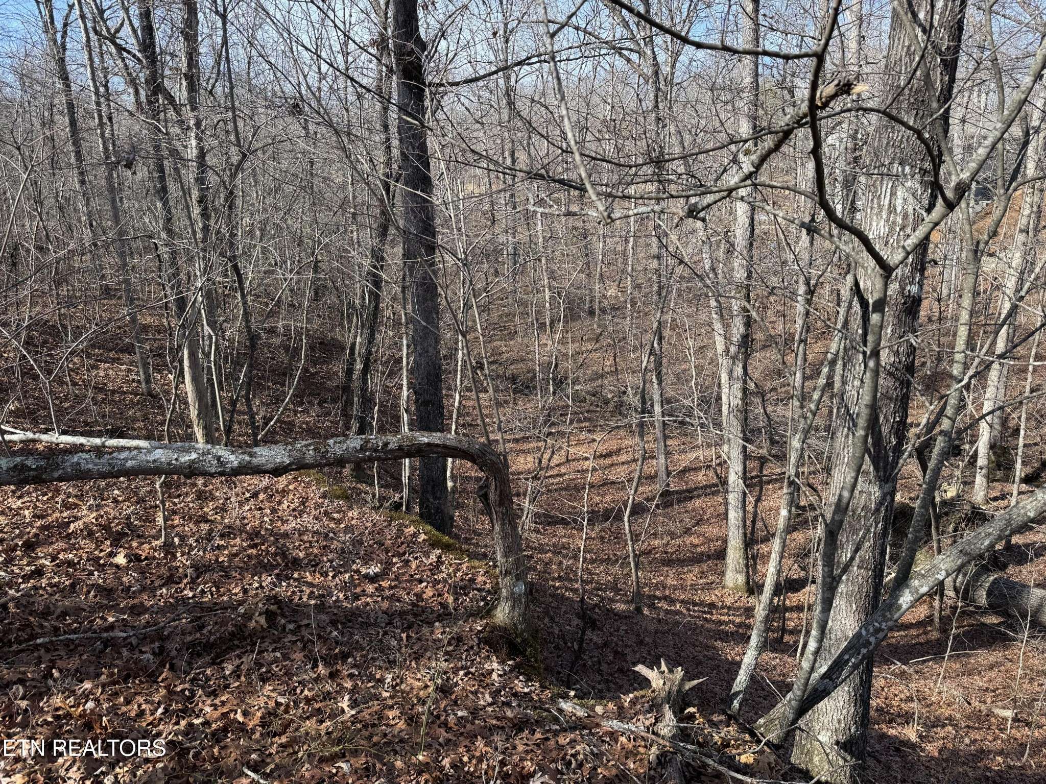 38 Crystal Point, Monterey, TN 38574