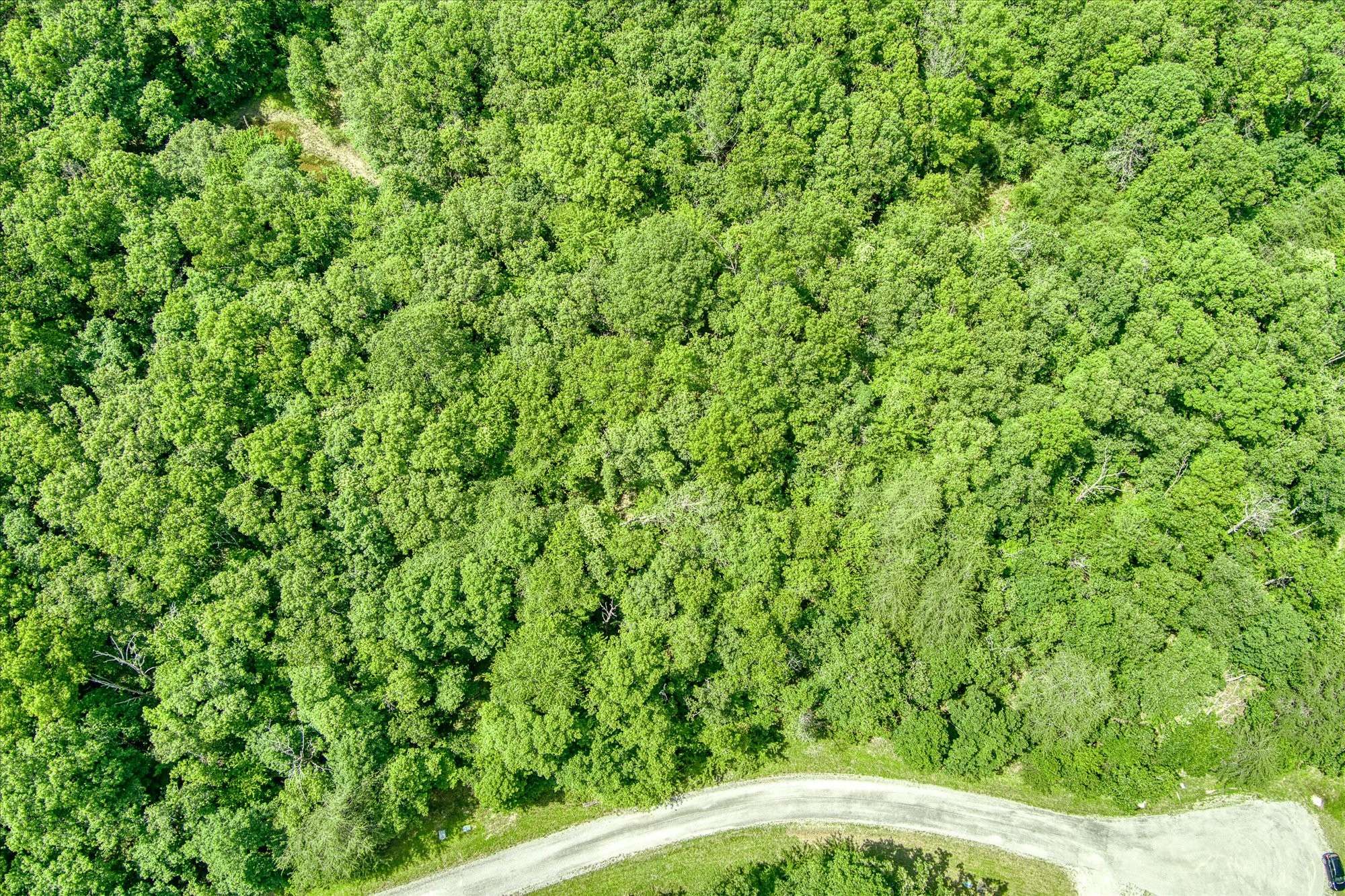 0 Hemlock Lane, Spencer, TN 38585