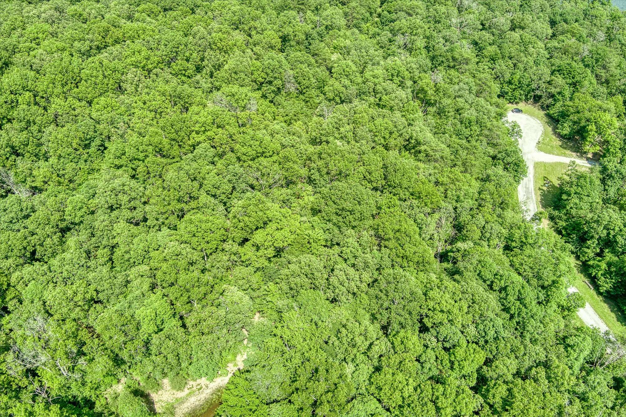 0 Hemlock Lane, Spencer, TN 38585