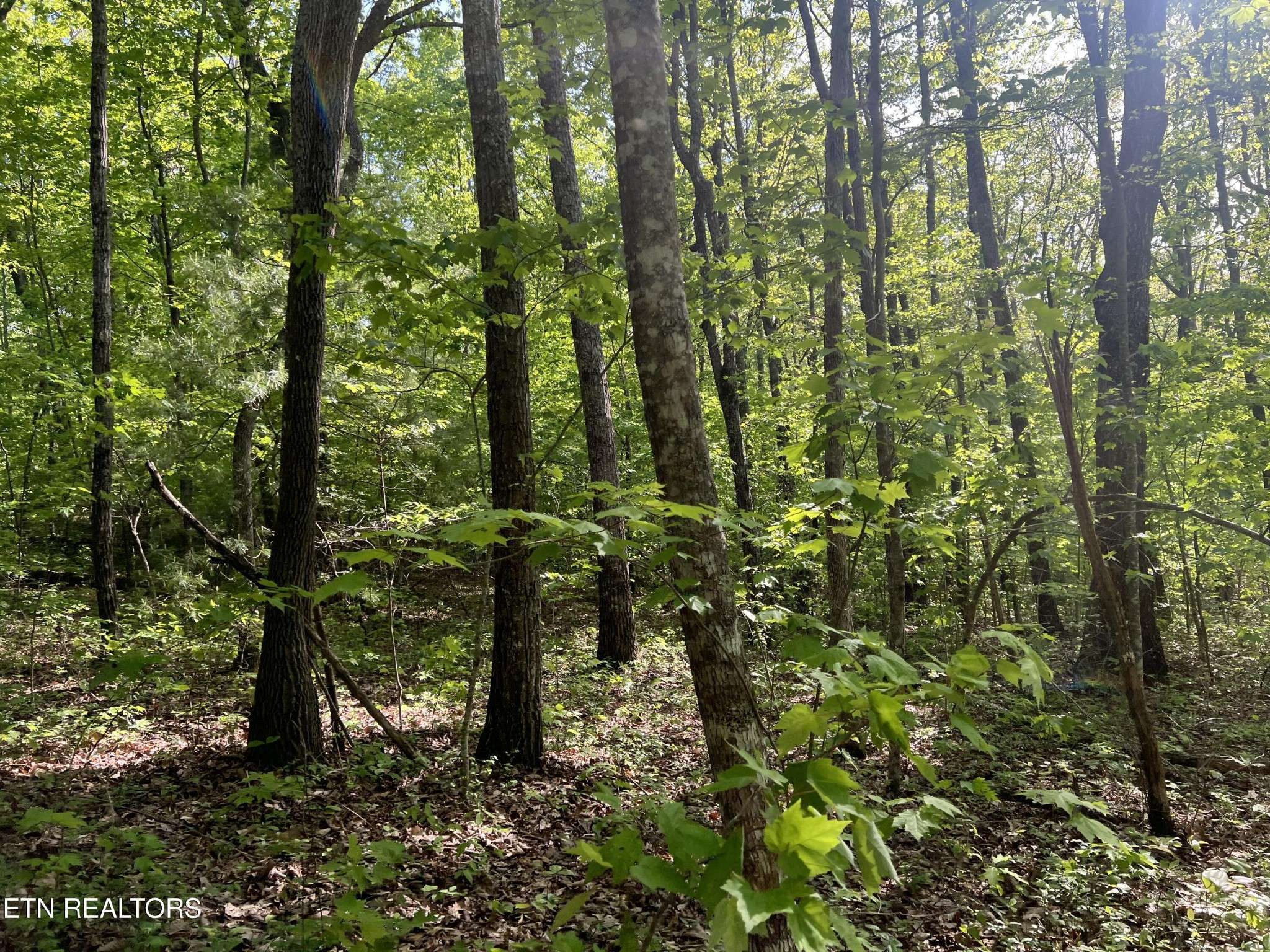 658 Peavine Firetower Rd, Crossville, TN 38571