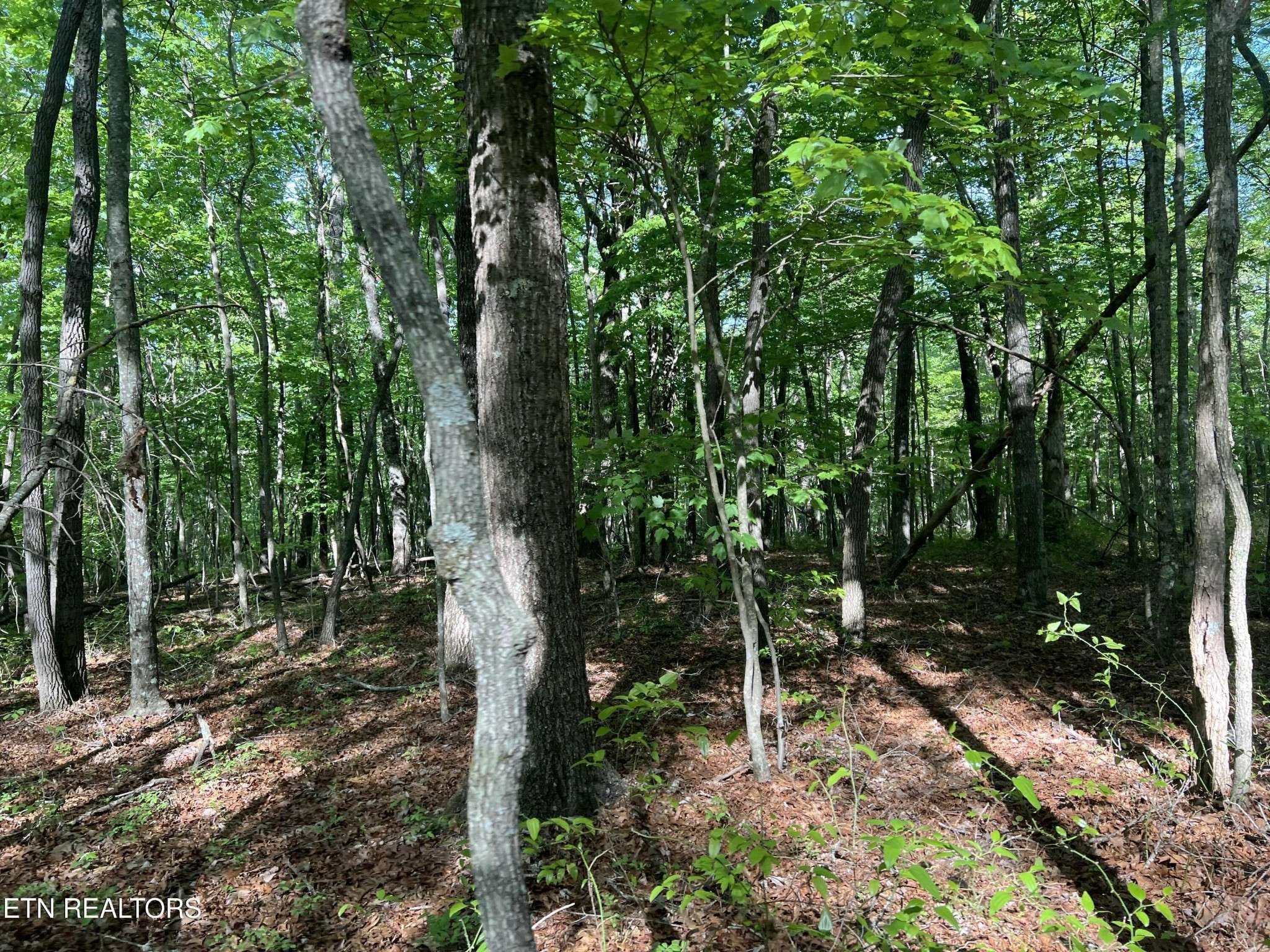 658 Peavine Firetower Rd, Crossville, TN 38571